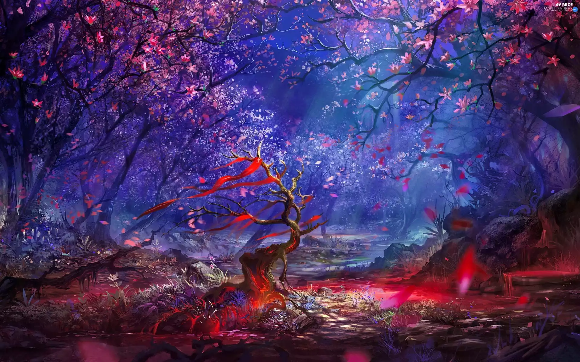 forest, graphics, fantasy