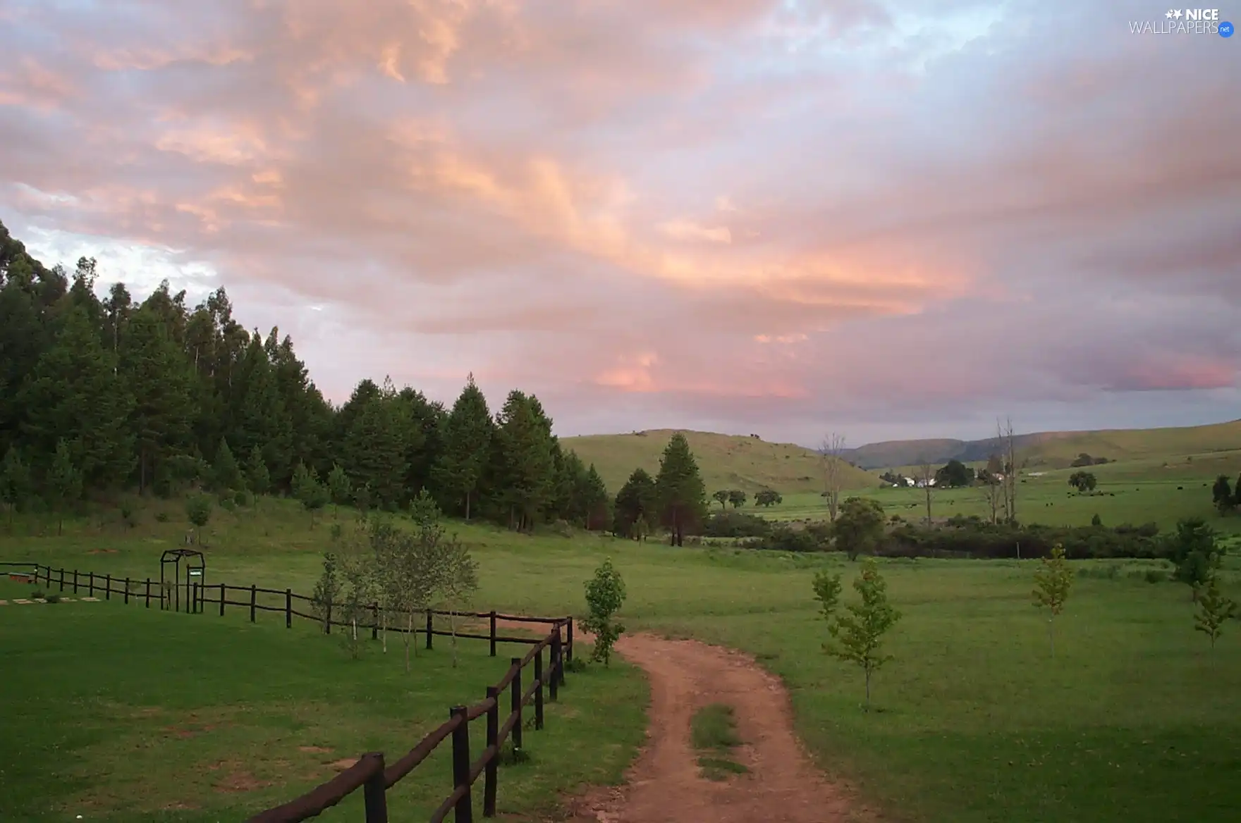 field, fence, forest, Way