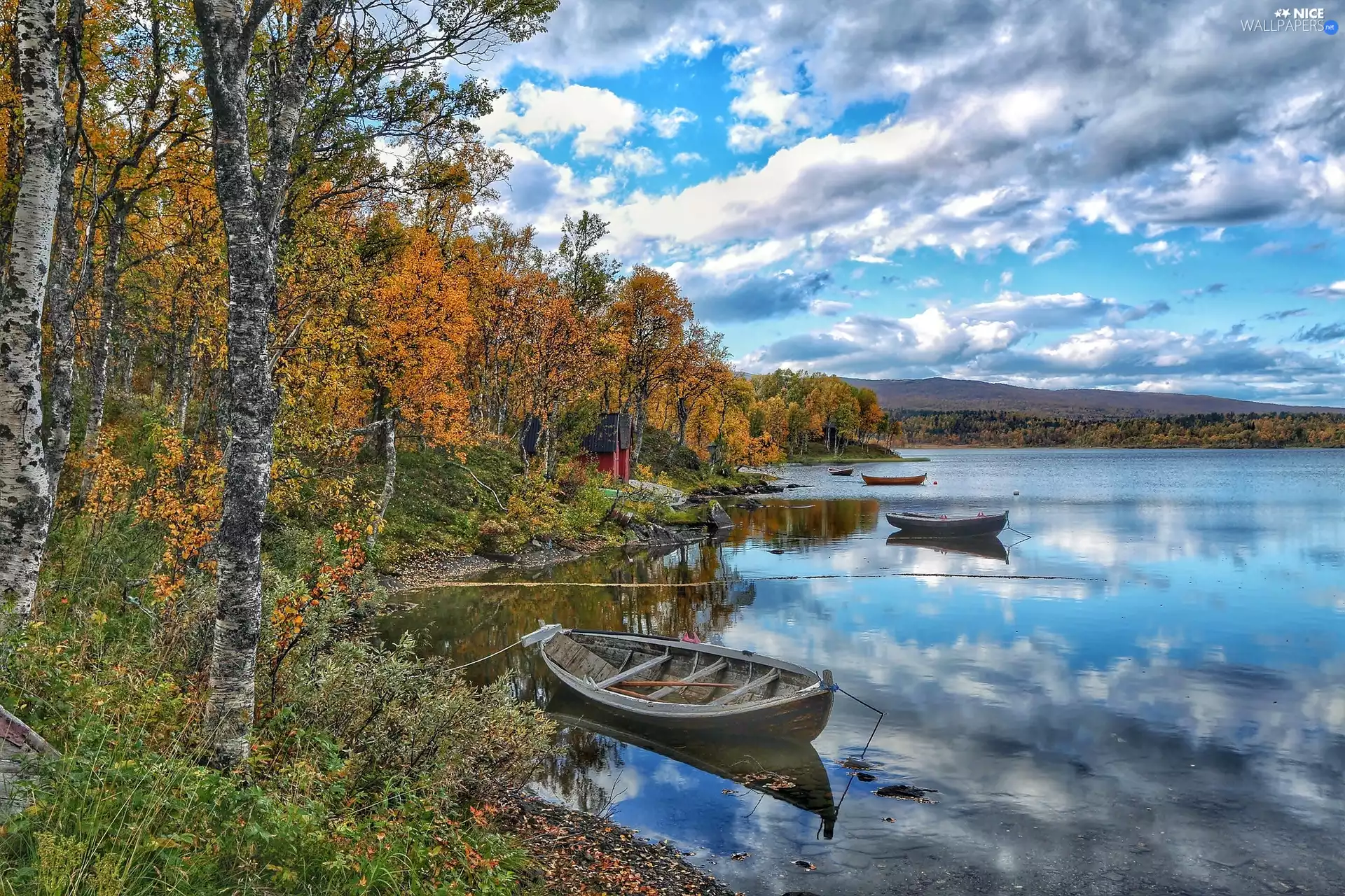 forest, boats, lake