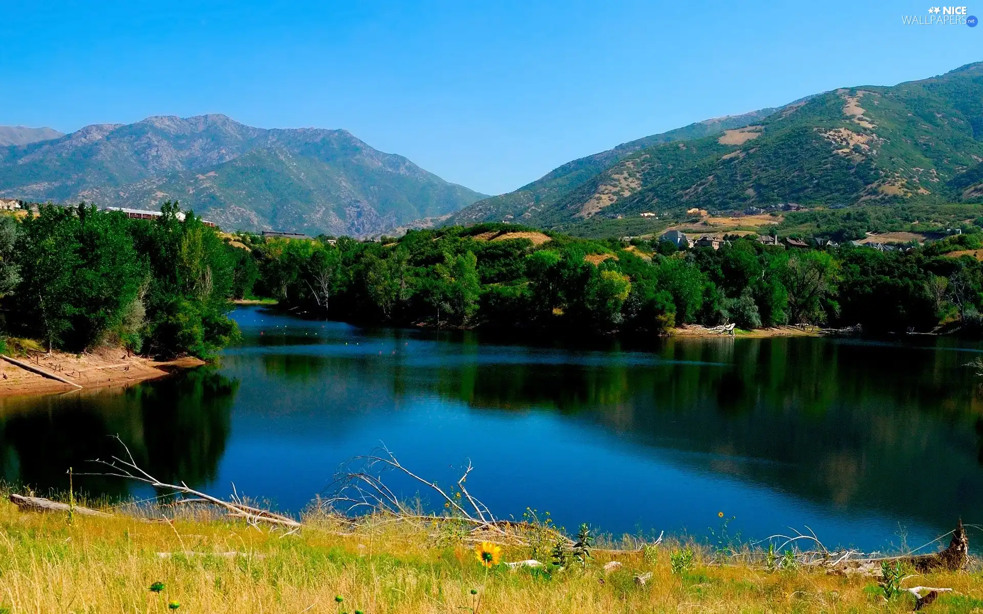 forest, Mountains, lake