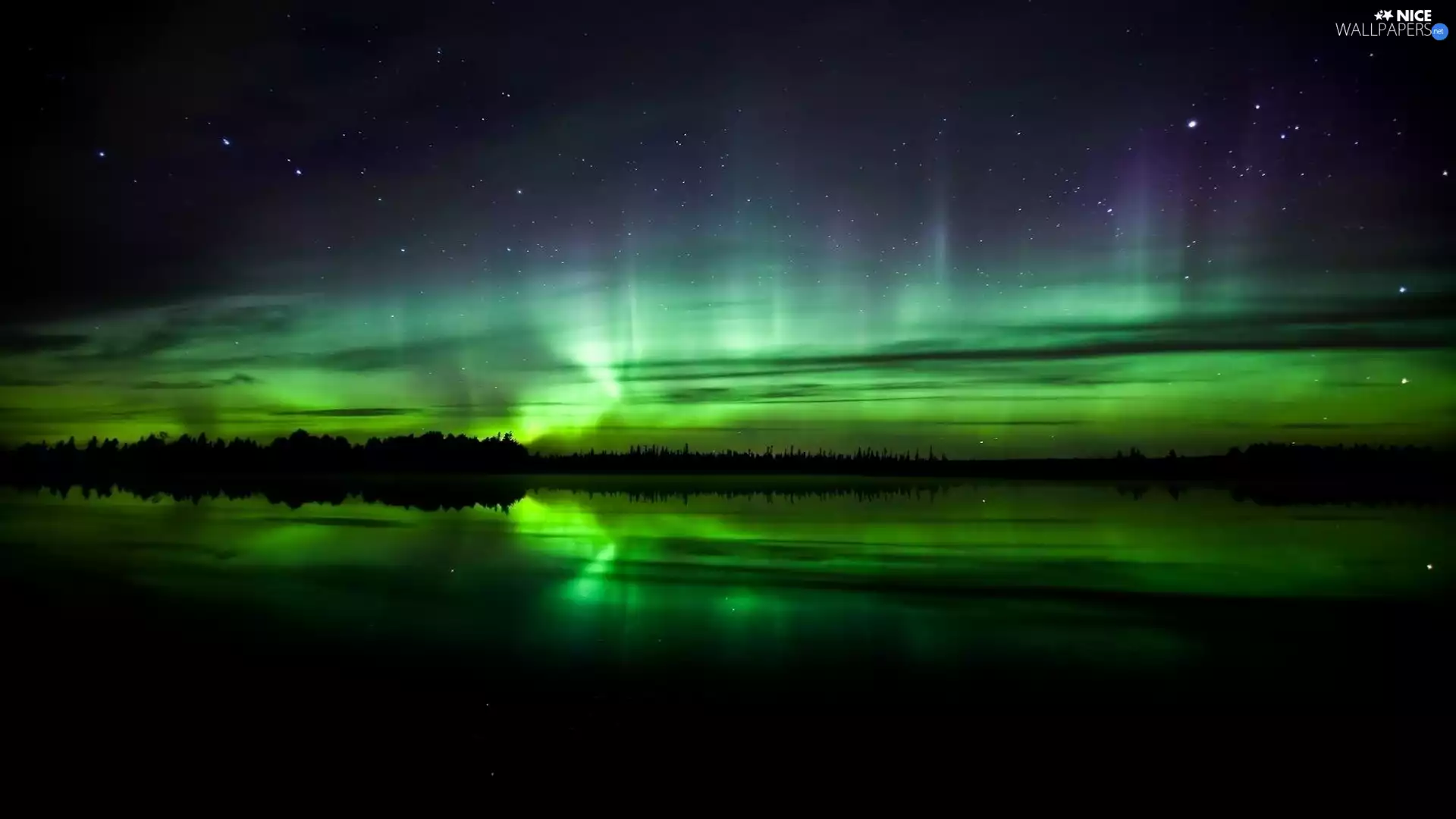 Polaris, forest, lake, dawn, Sky