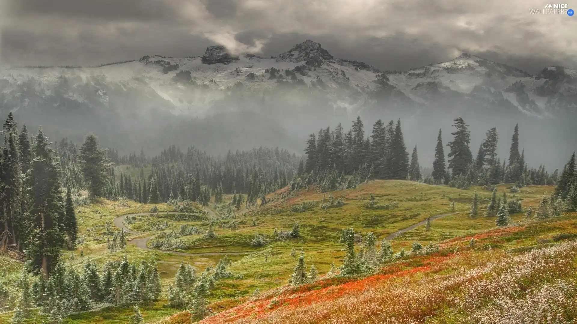 forest, Mountains, Meadow