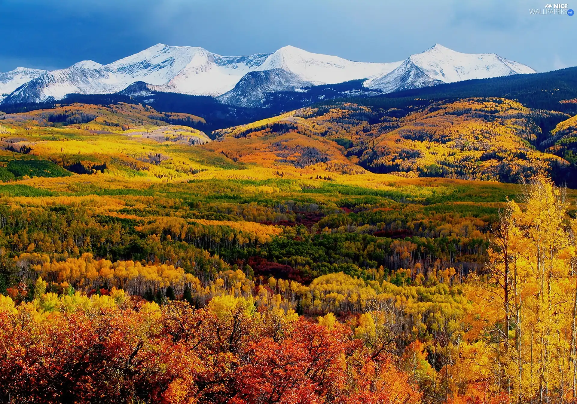 forest, autumn, Mountains