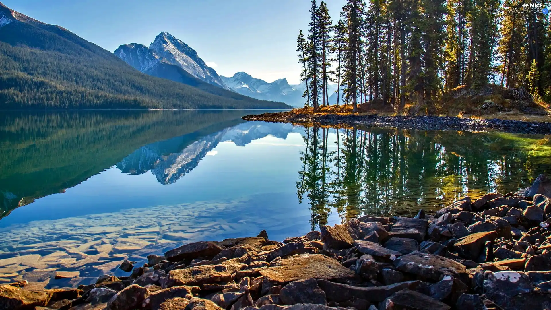 forest, lake, Mountains