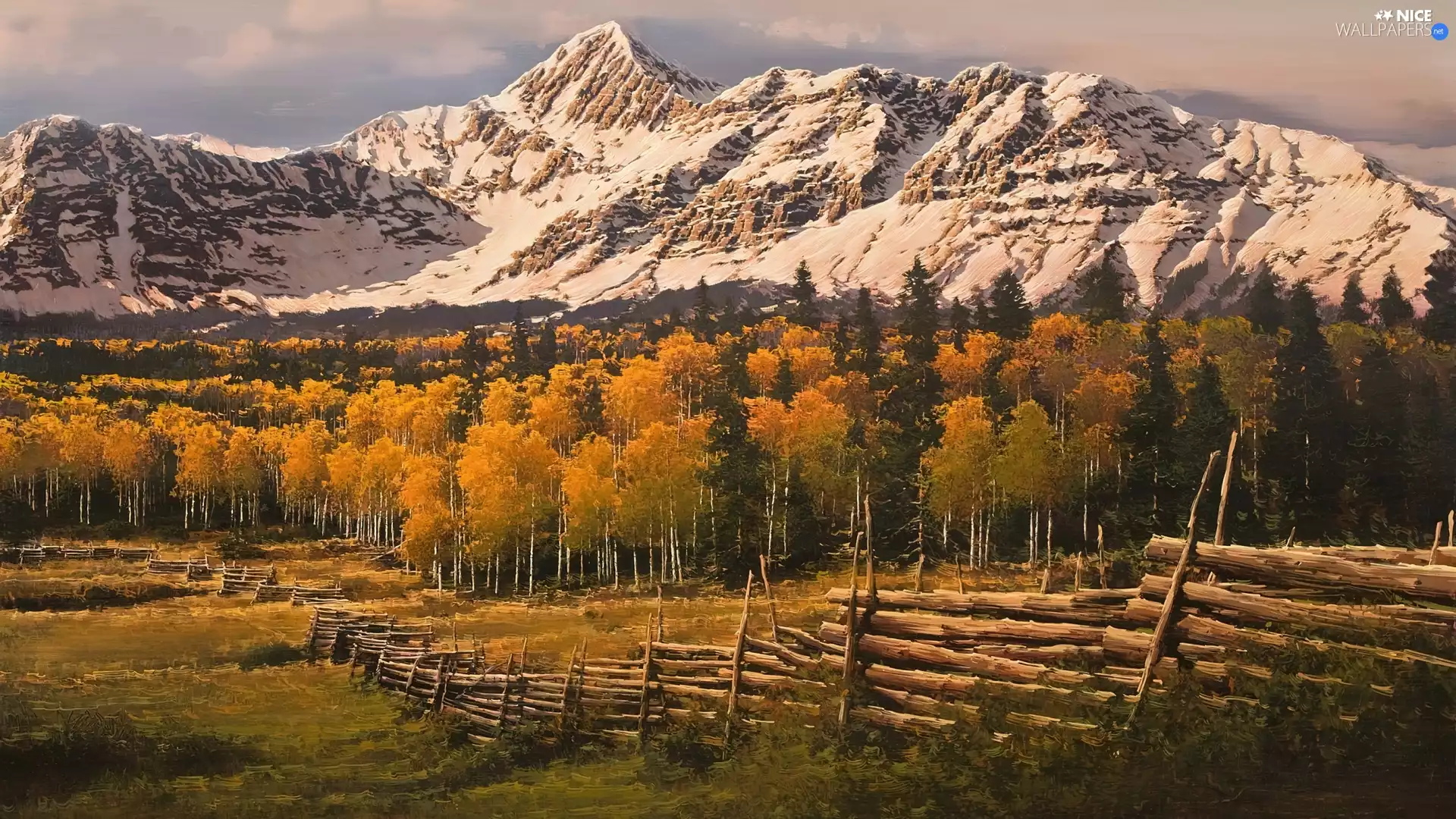 forest, picture, Mountains