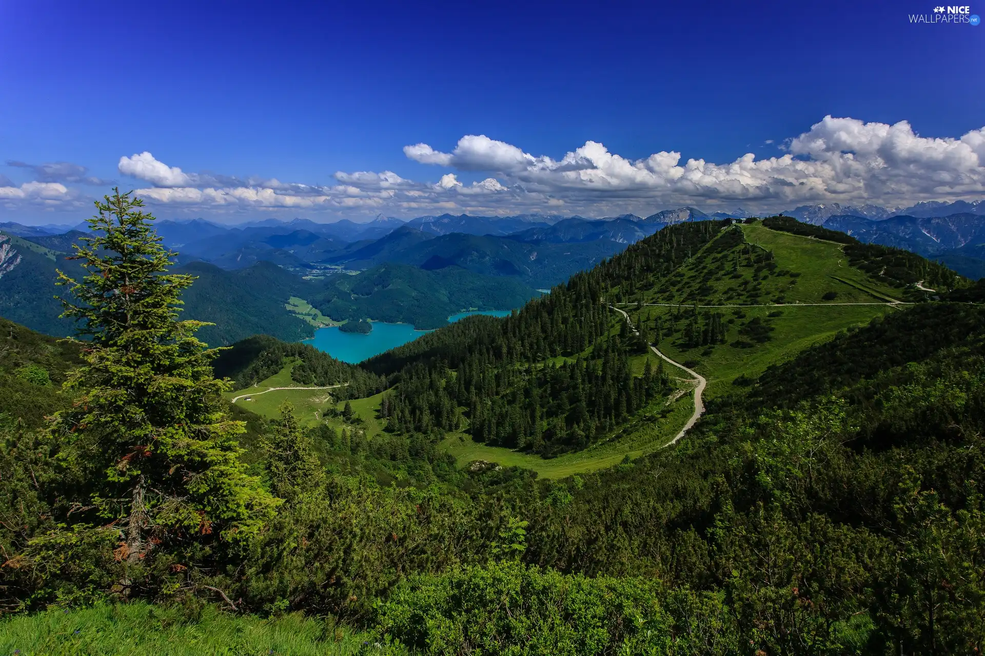 forest, panorama, Germany, lake, Bavarian Alps