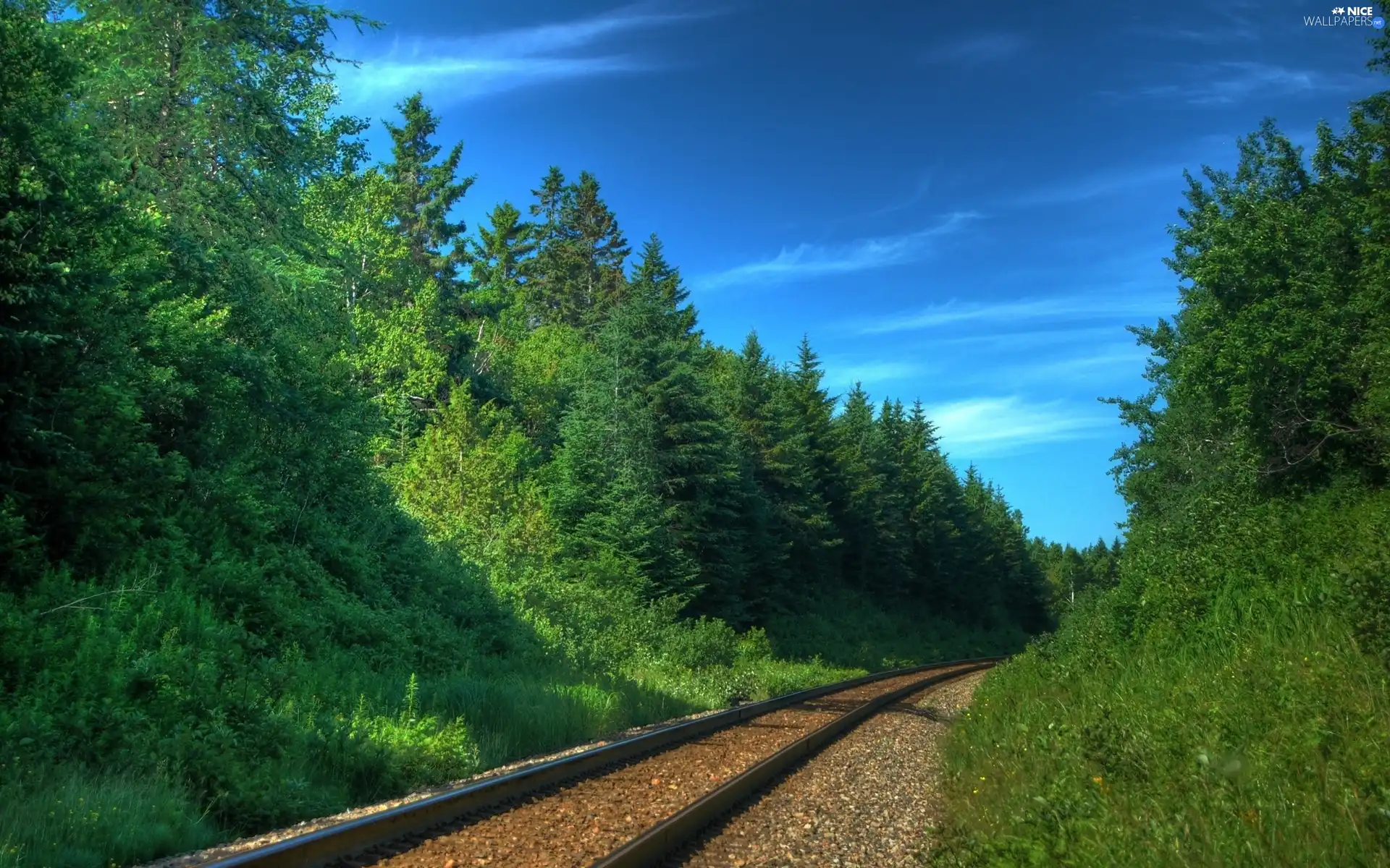 forest, ##, railway