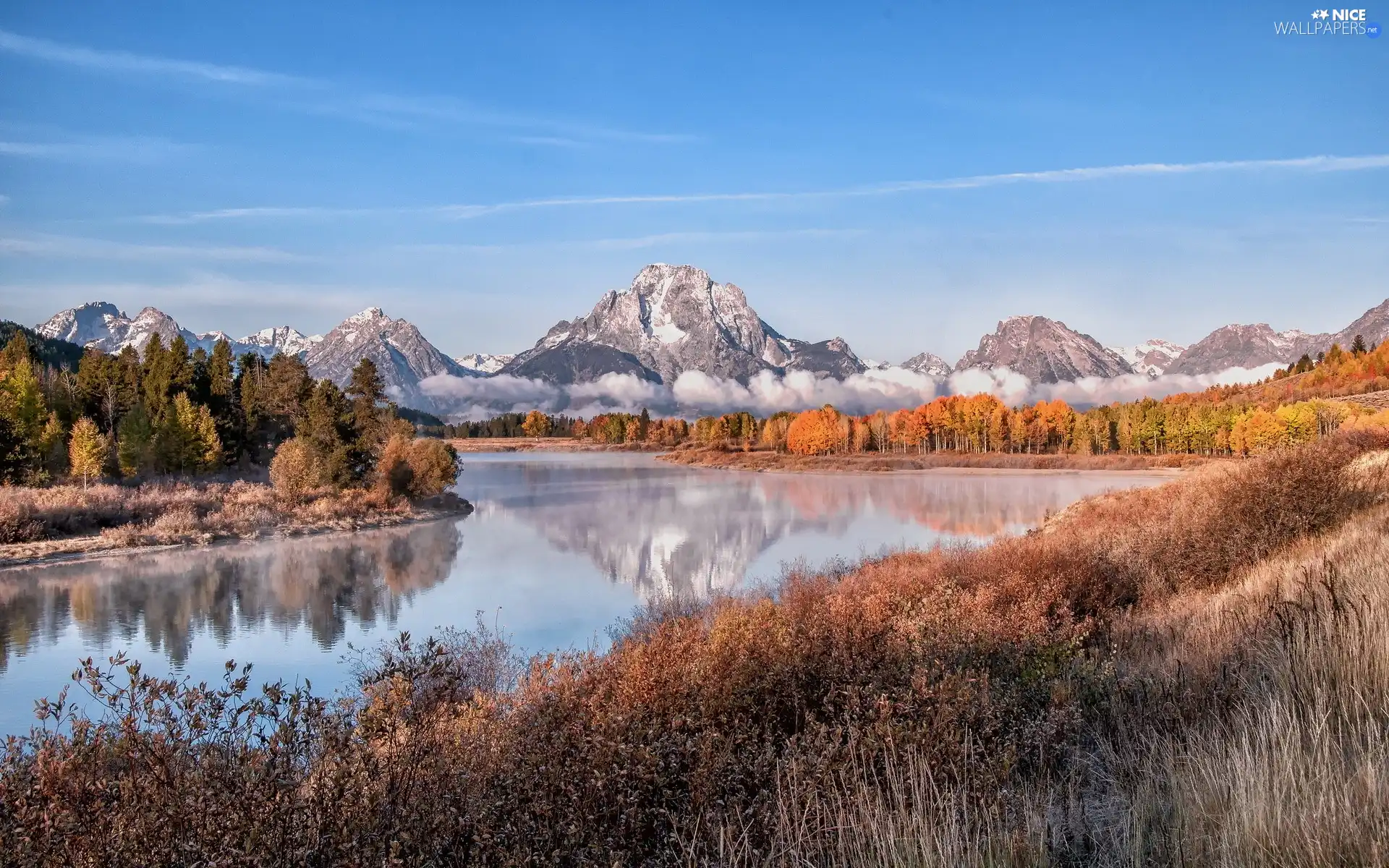 forest, Mountains, River