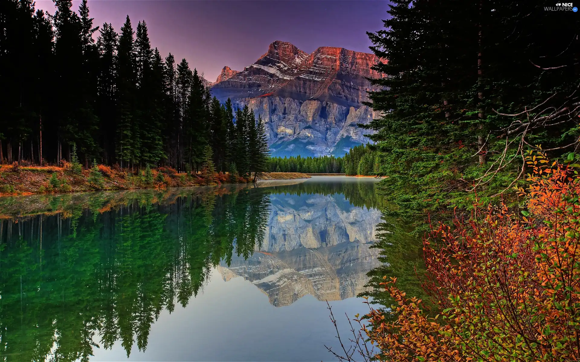 forest, Mountains, River