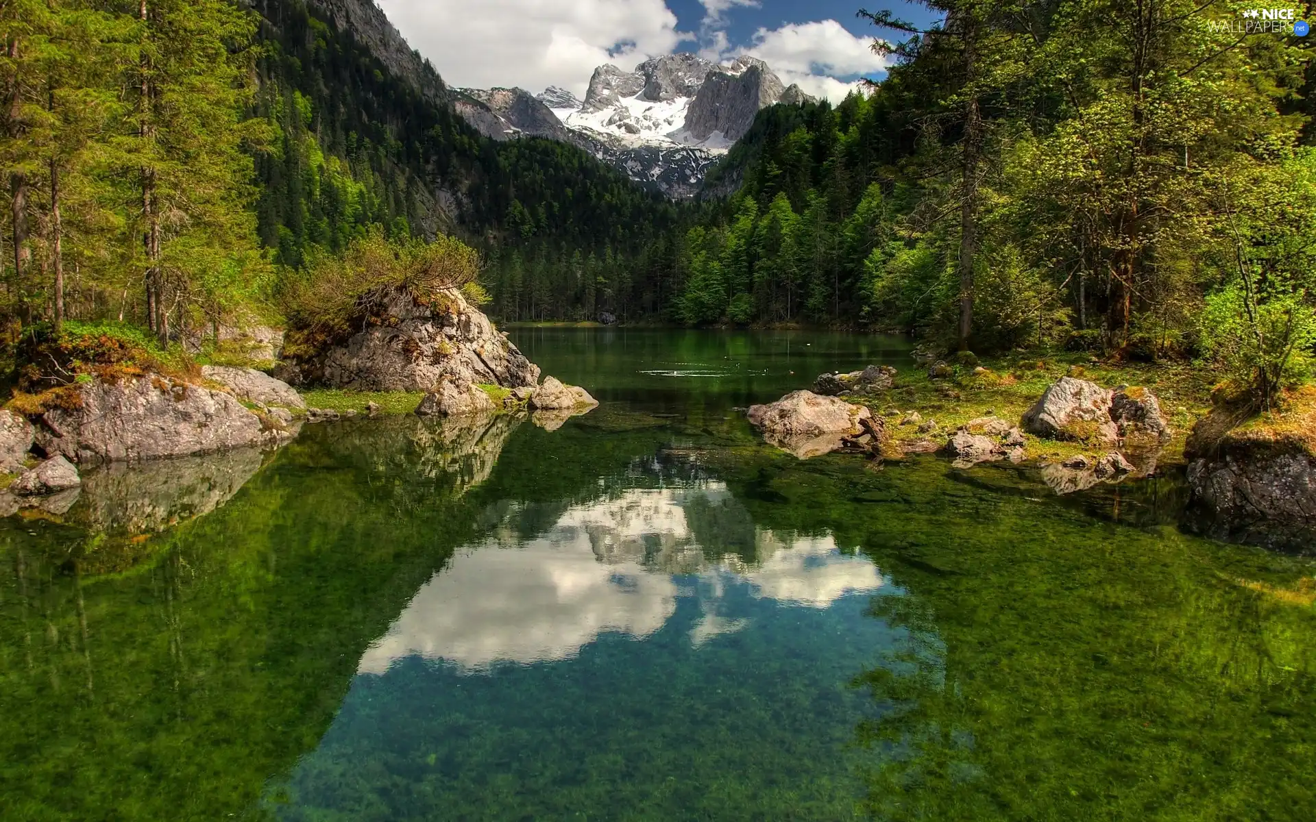 River, Mountains, forest, Stones