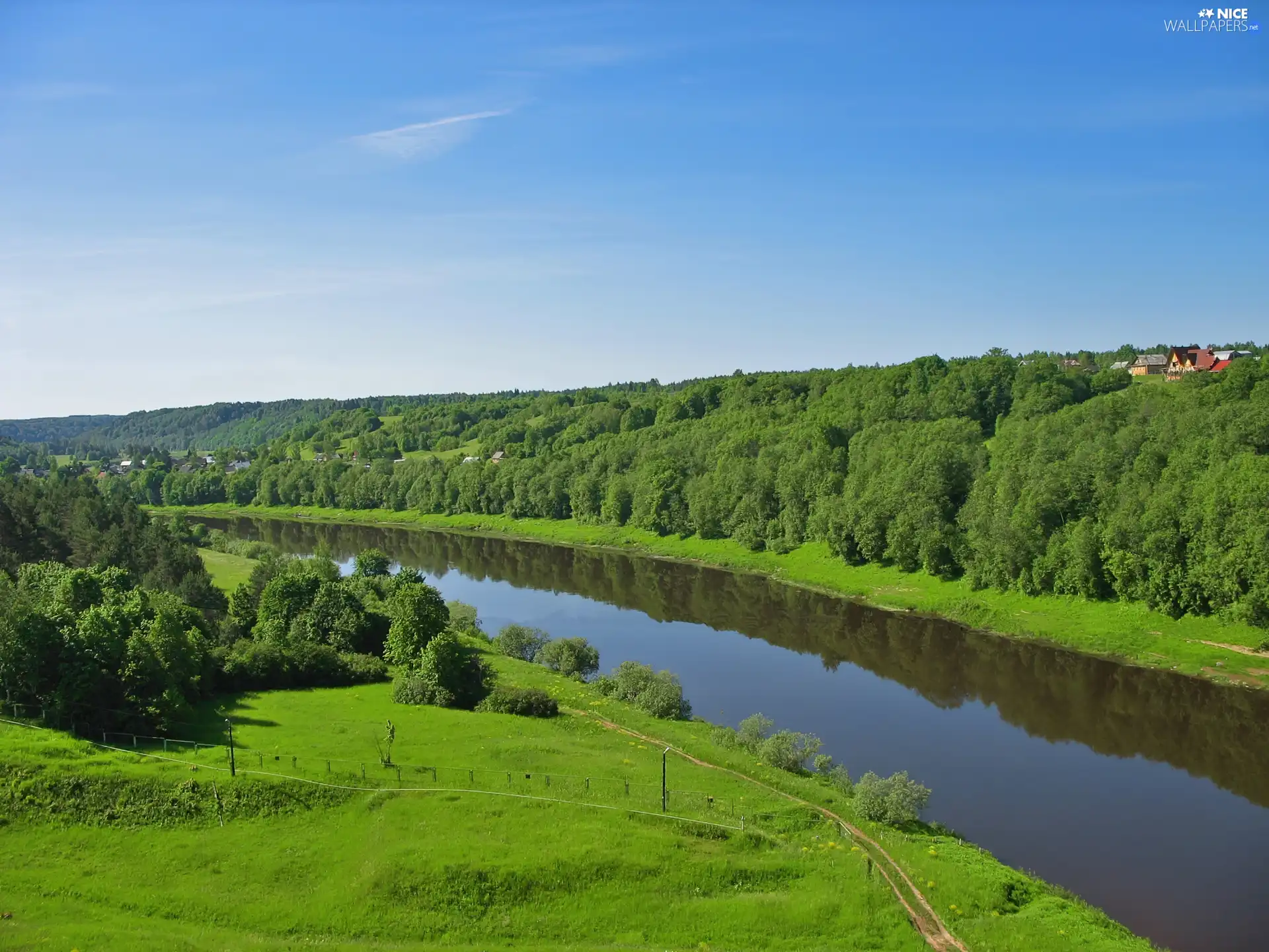 forest, Sky, River