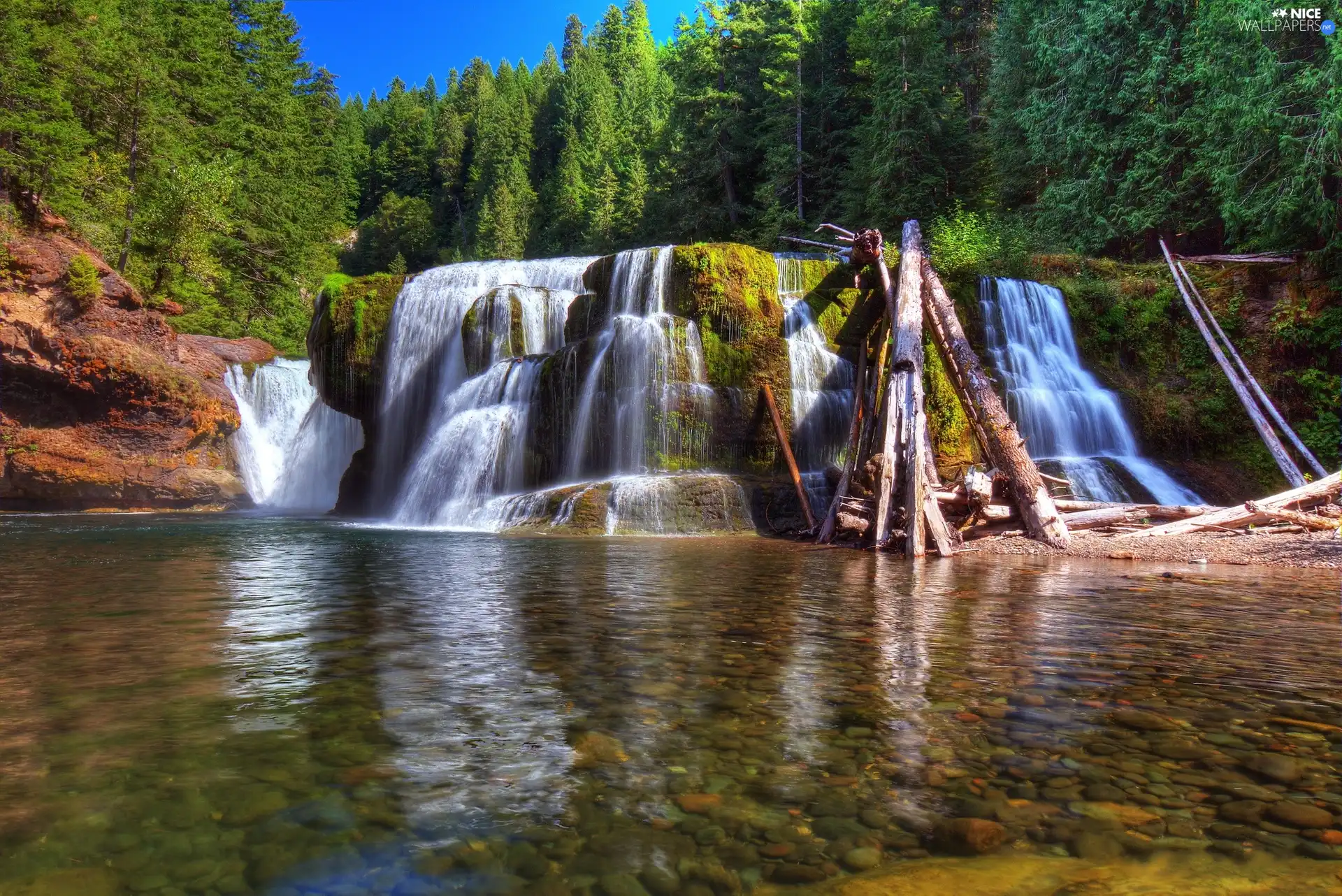 forest, River, state, united, waterfall