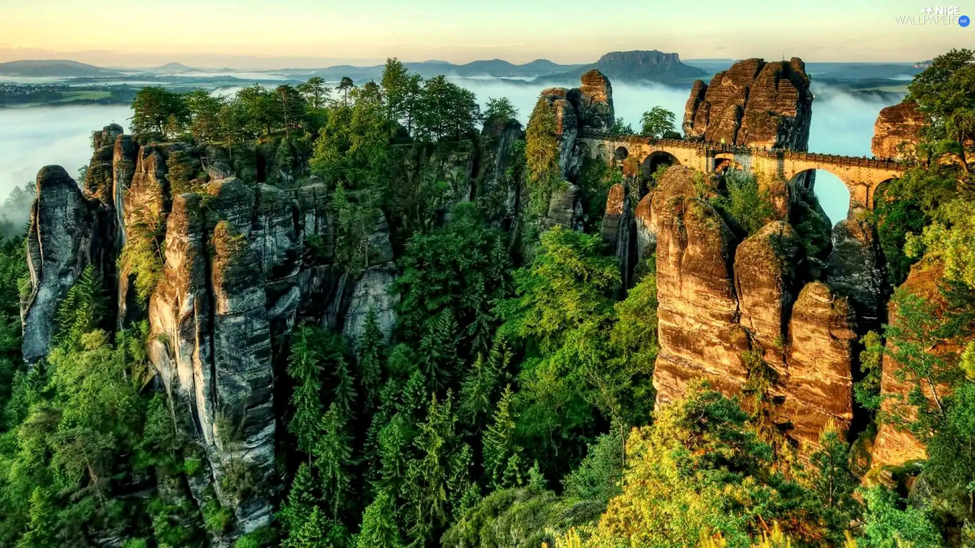 forest, Mountains, rocks