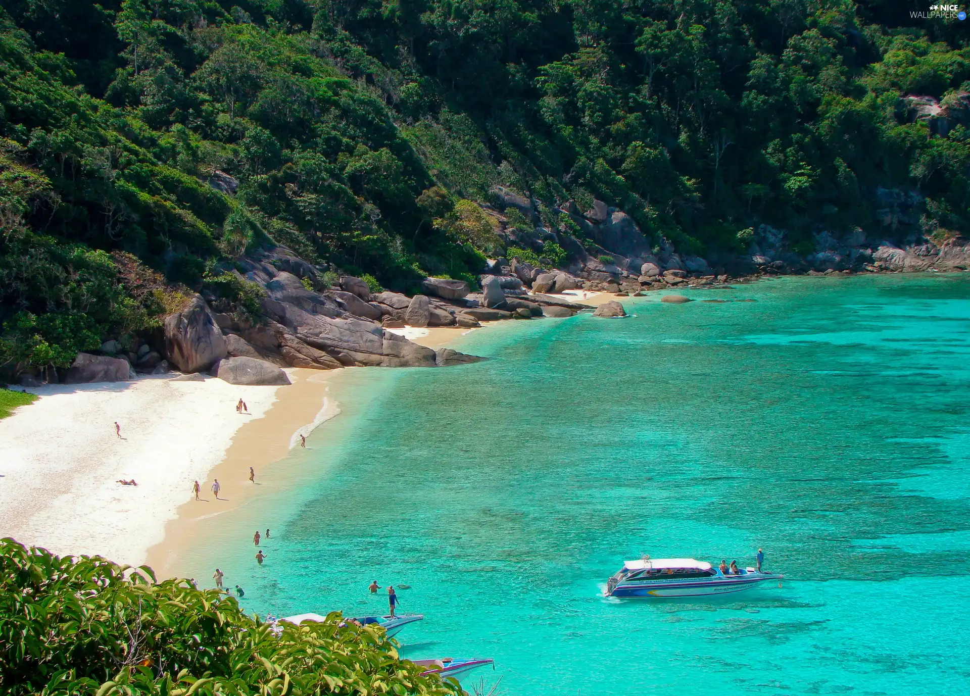 sea, Rocks, forest, Beach