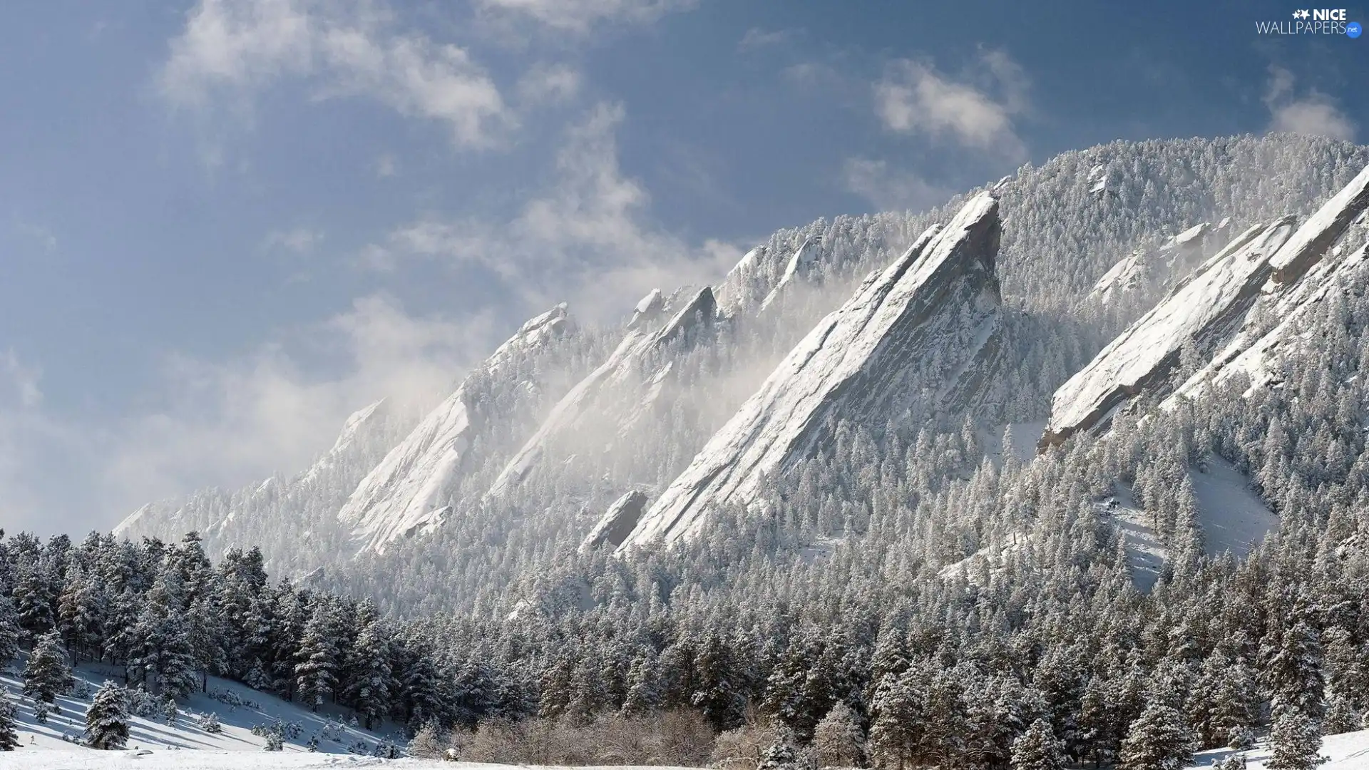 Sky, winter, forest, Mountains