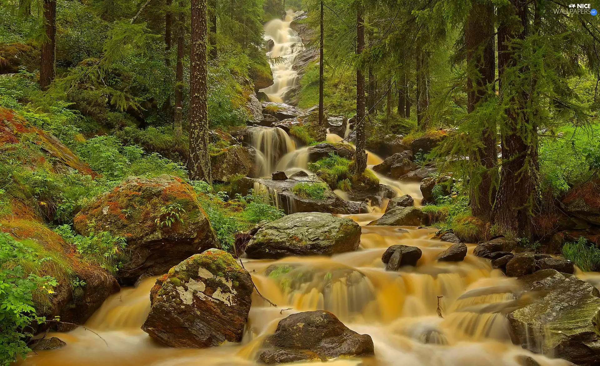 River, Italy, Stones, forest, cascade, Aosta Valley