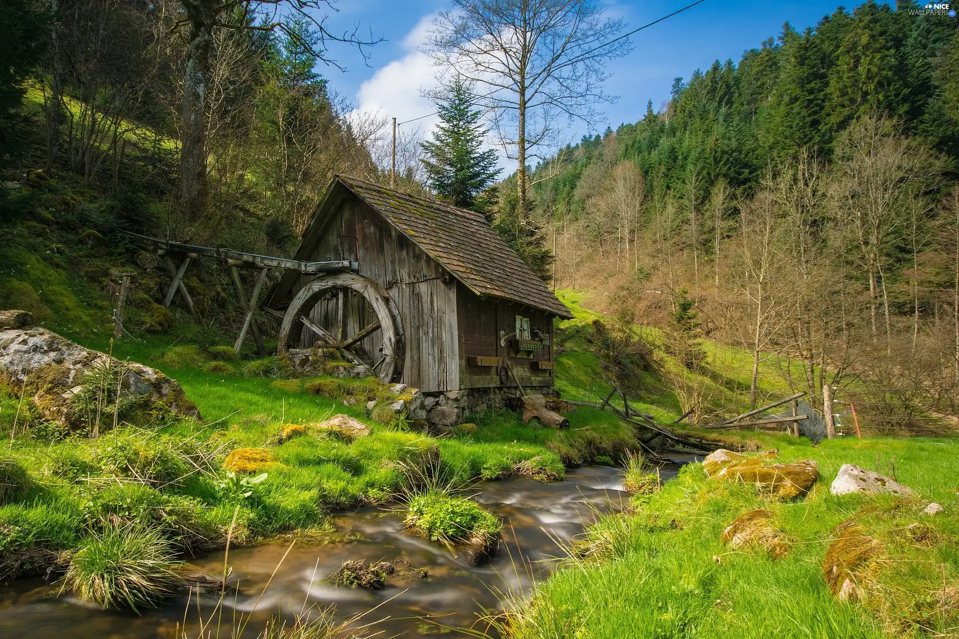 forest, Windmill, stream