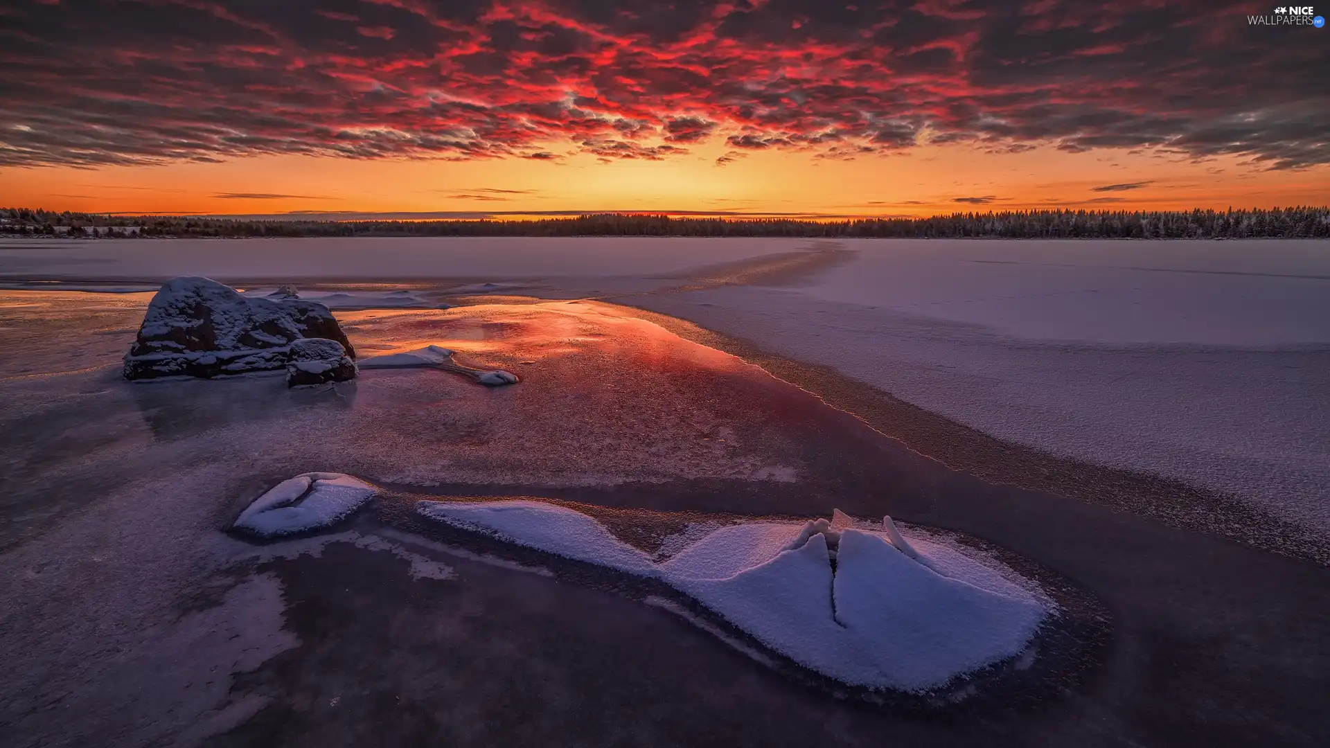 Sky, Great Sunsets, forest, winter, lake, color