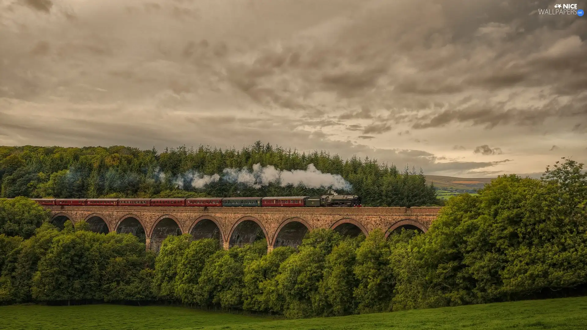 Sky, Train, trees, Clouds, bridge, forest, viewes