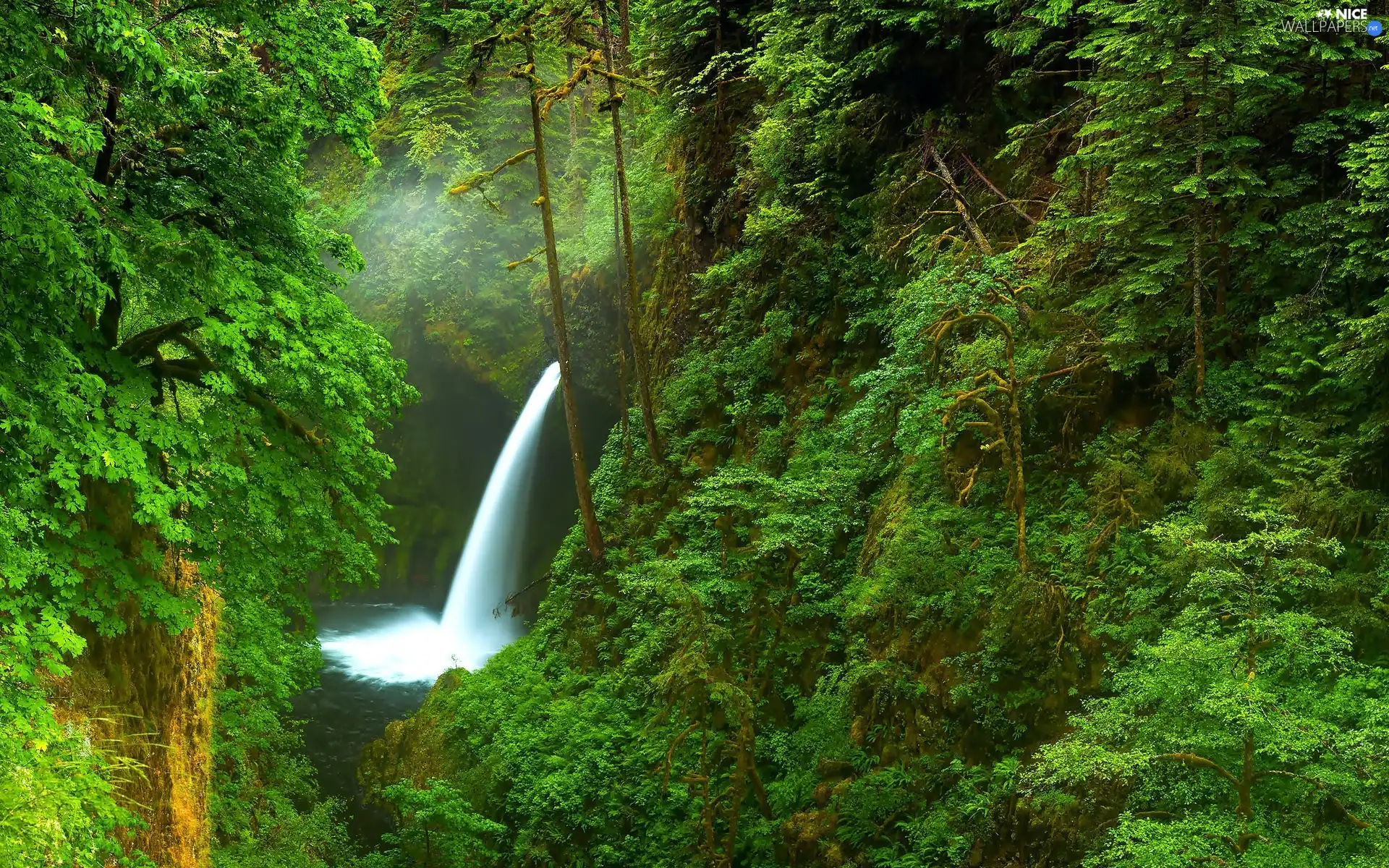 waterfall, forest