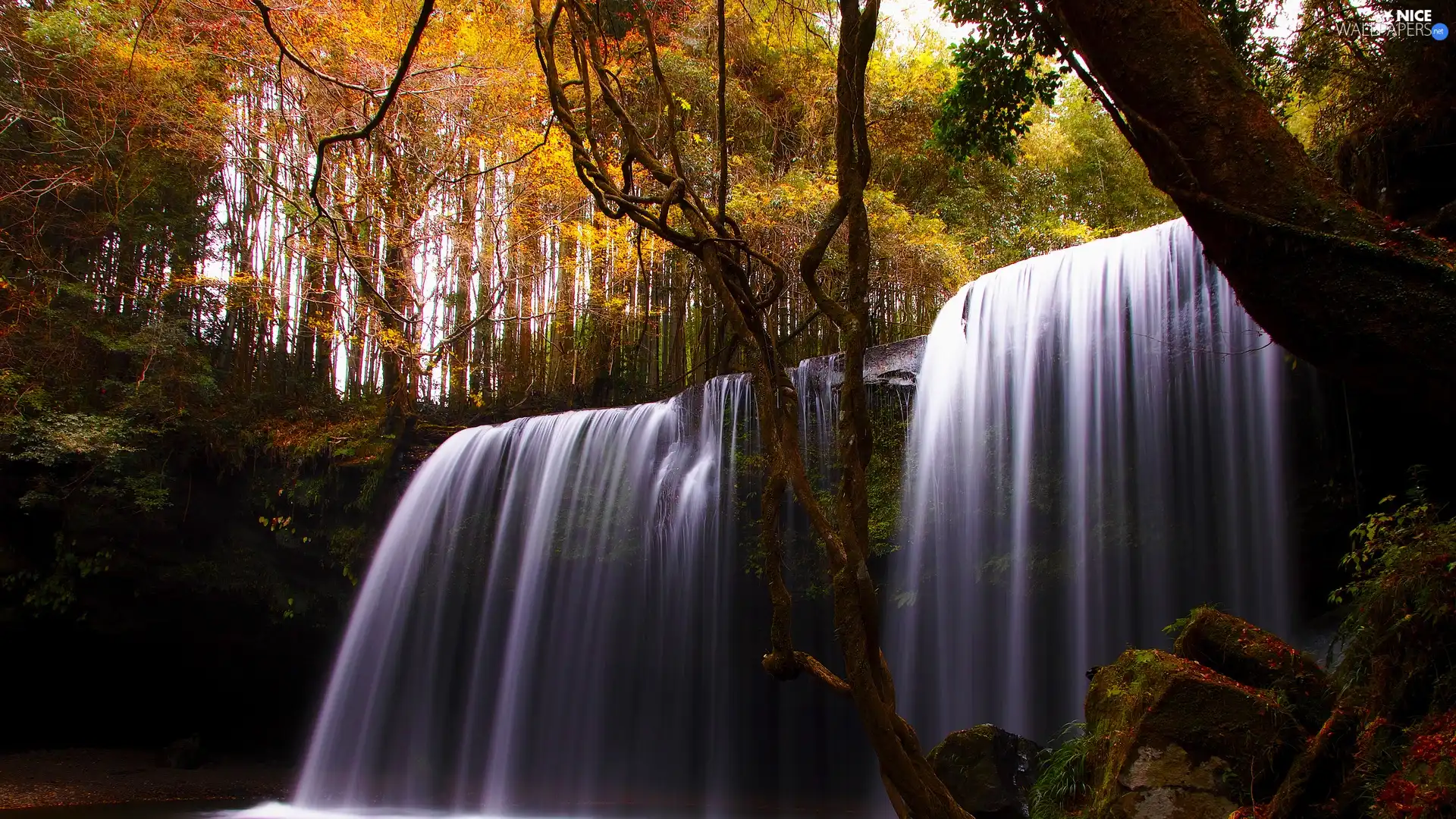 waterfall, forest