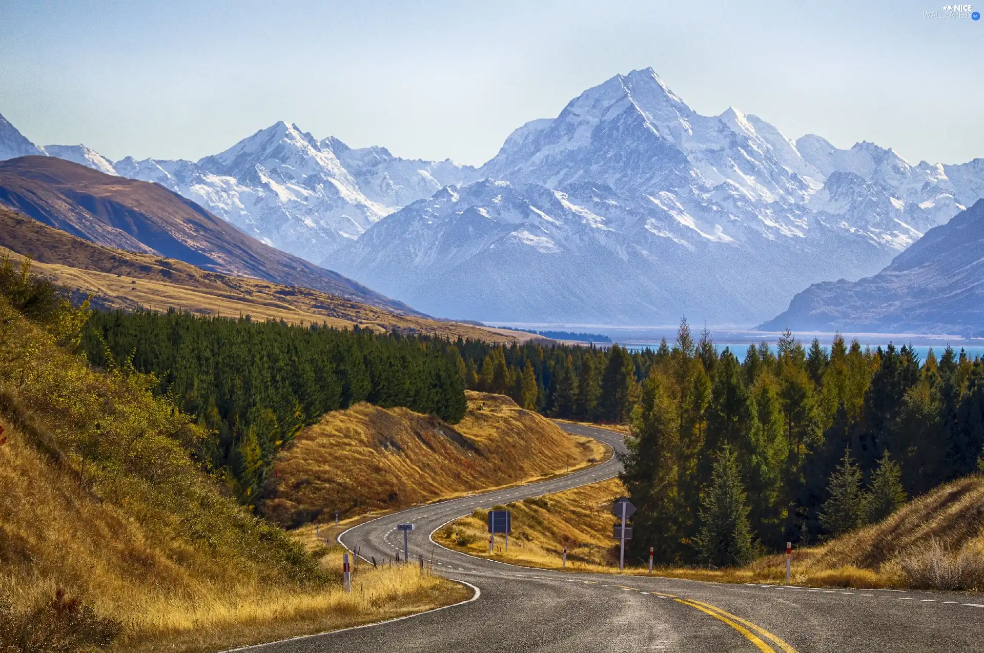 forest, Mountains, Way