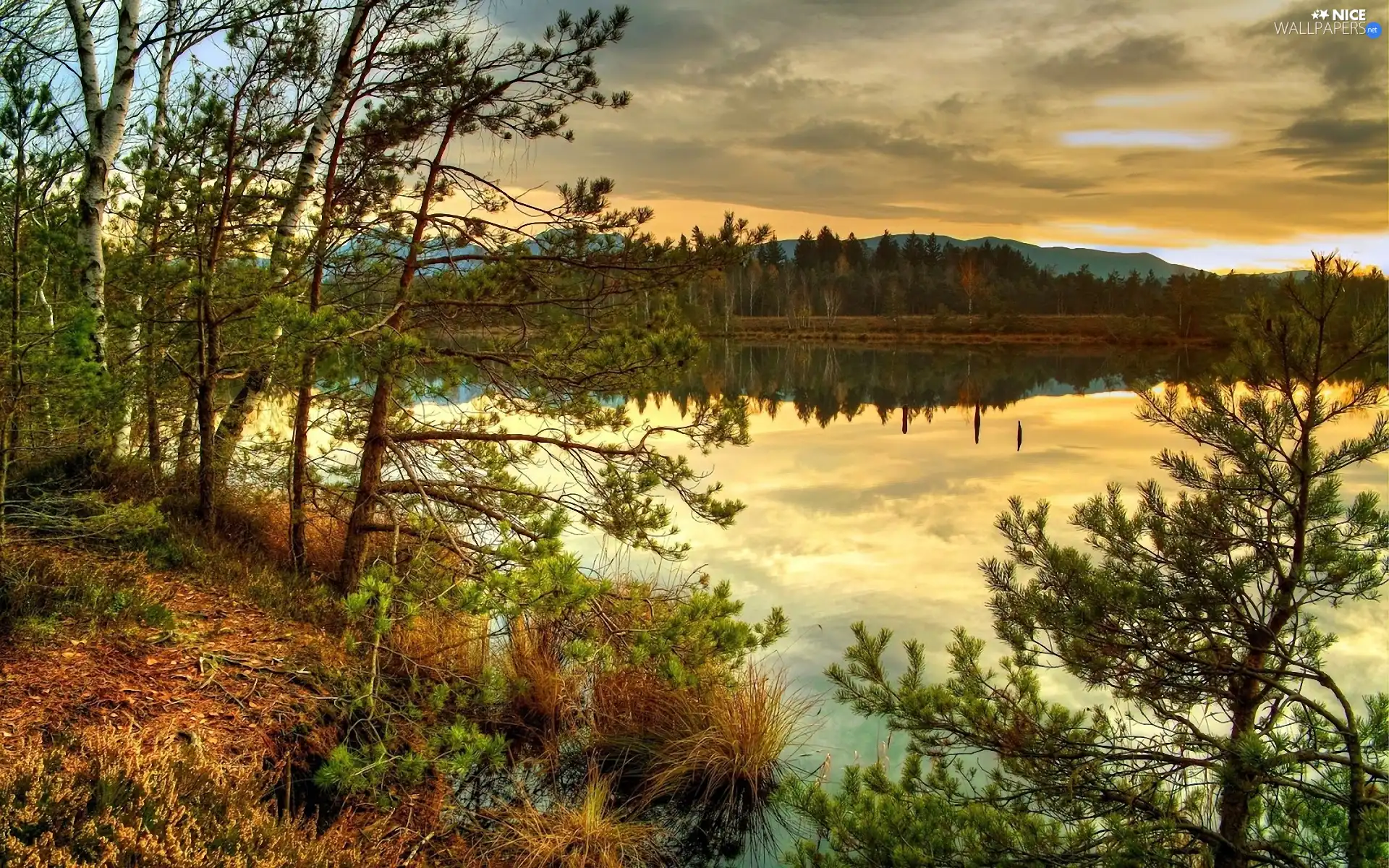 west, lake, forest, sun