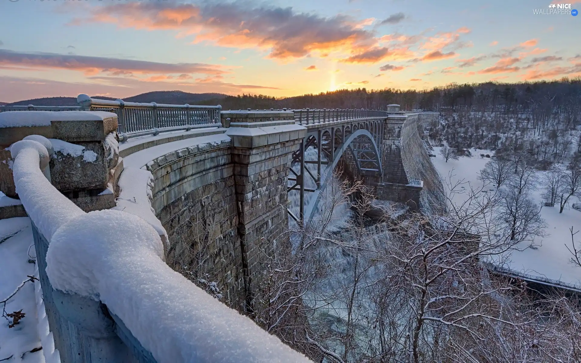 winter, bridge, forest, large