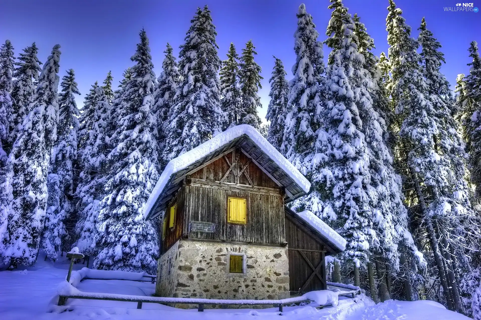 forest, house, winter