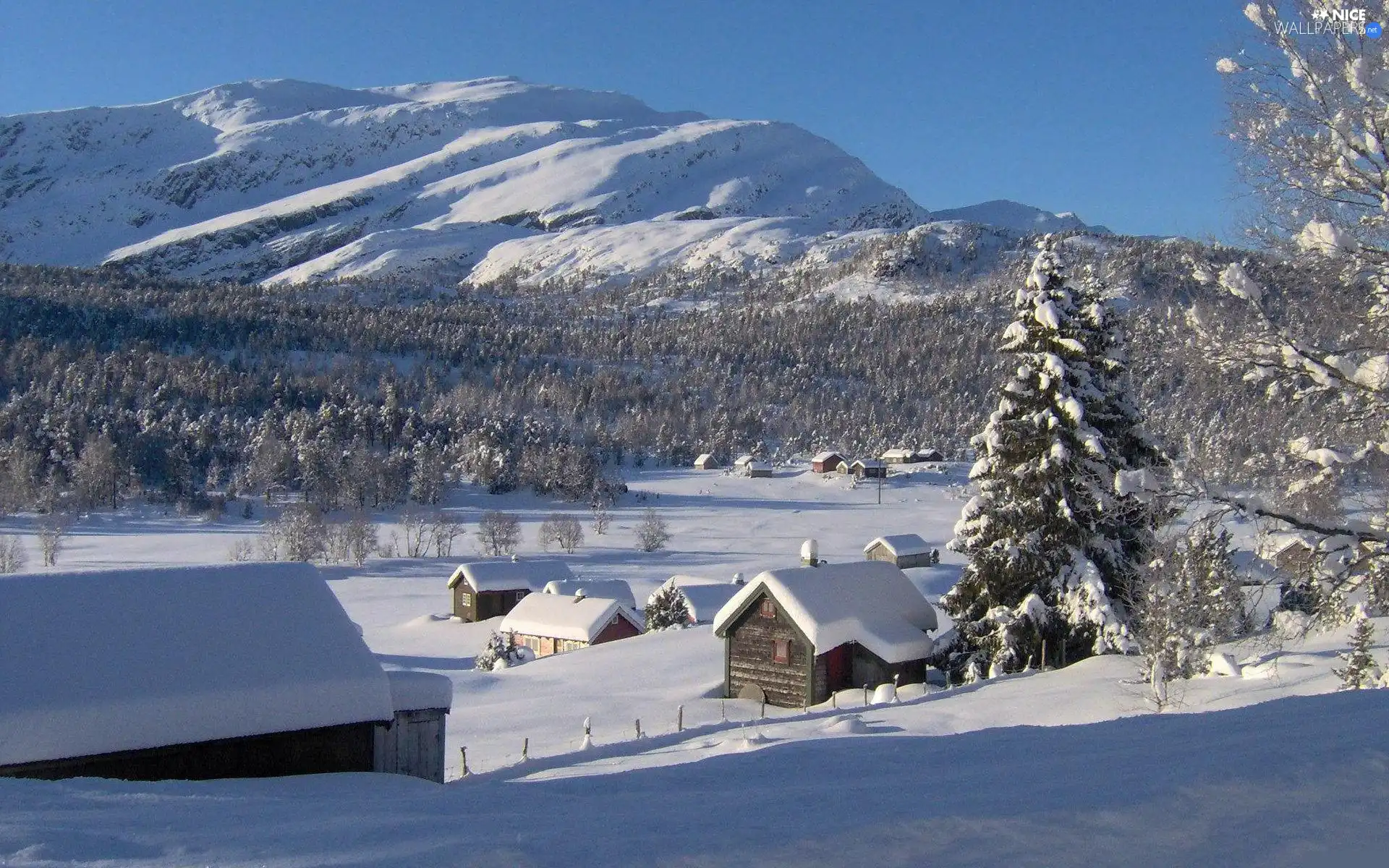 winter, Mountains, forest, Houses