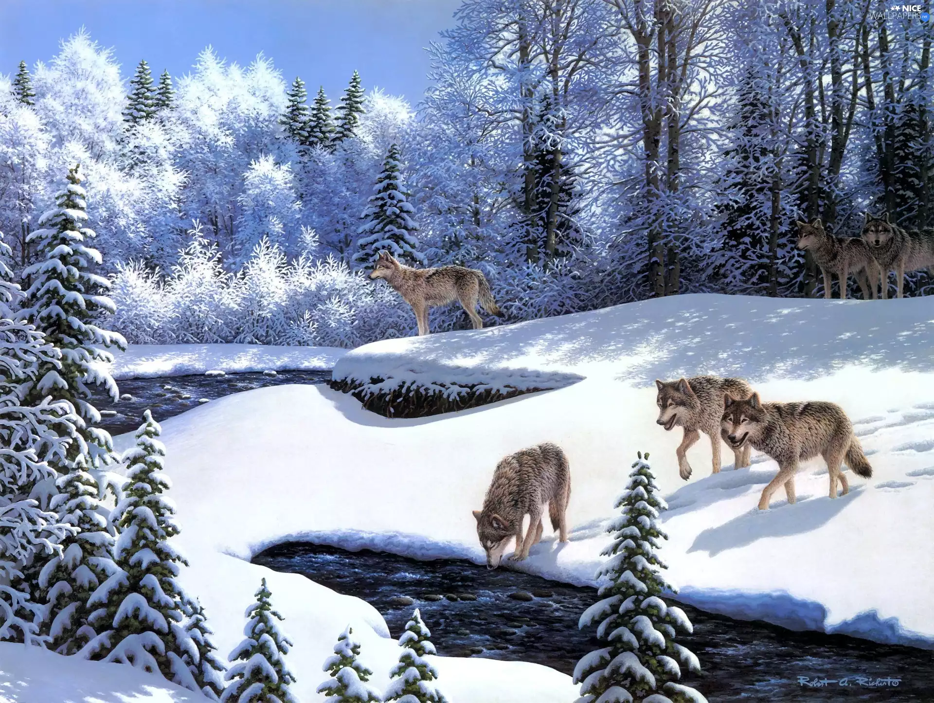 wolves, Robert Richert, forest, River, winter