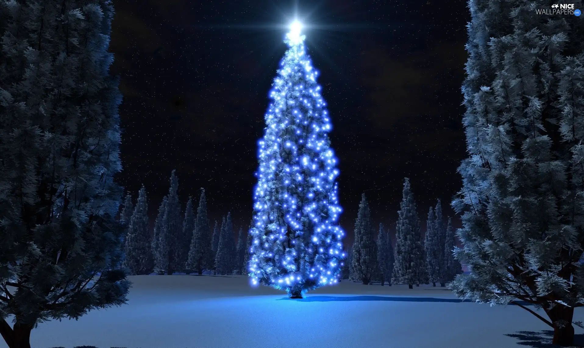 winter, christmas tree, forest, illuminated