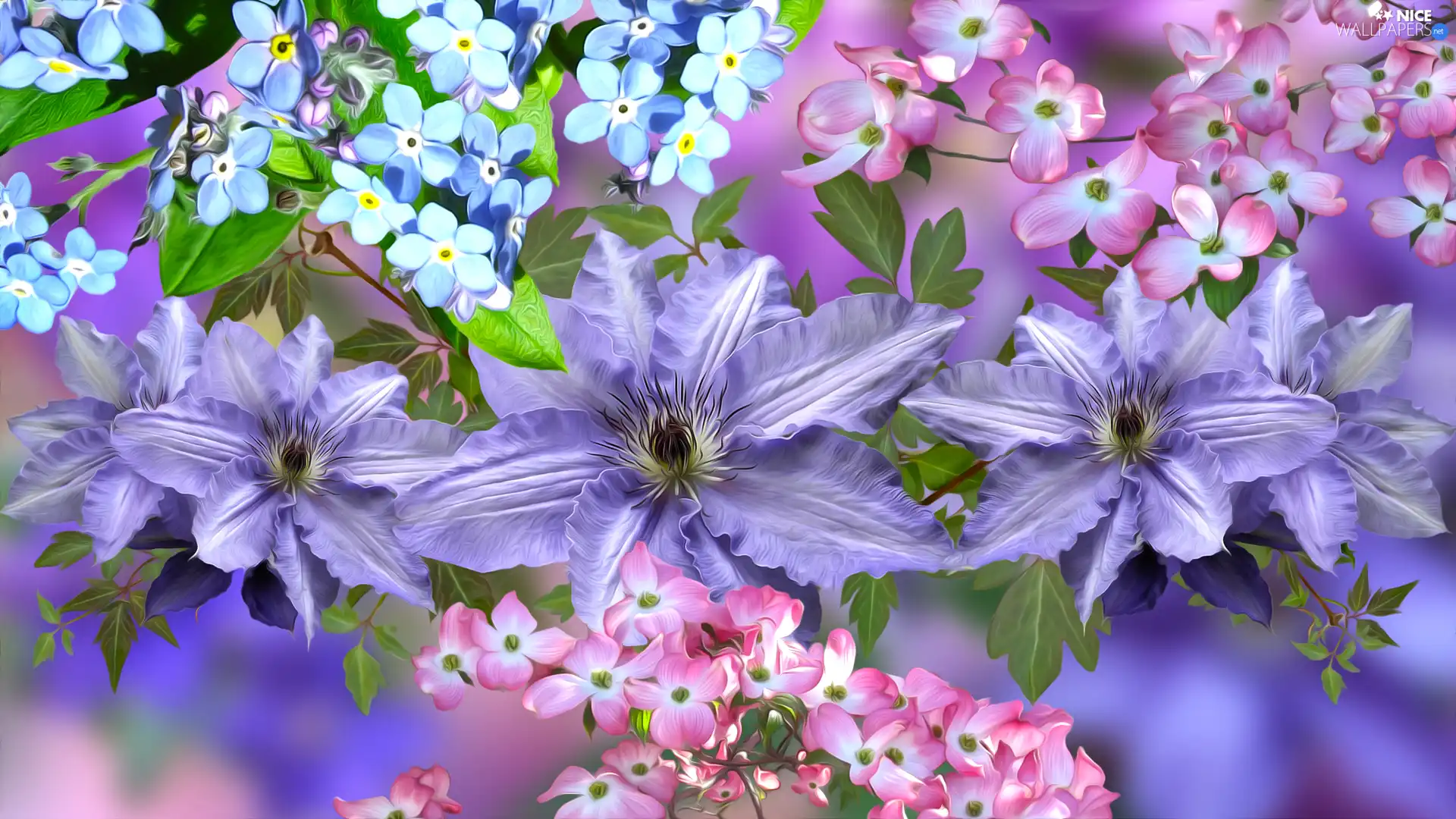 Flowers, Forget, dog-wood, Clematis