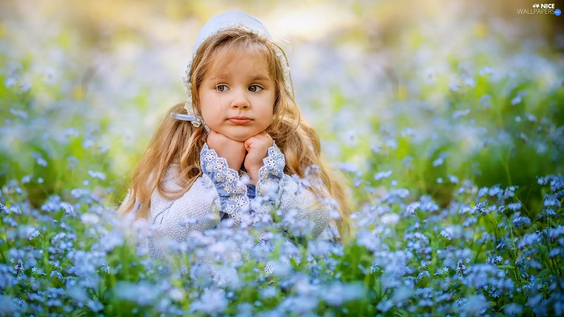 Forget, girl, Flowers