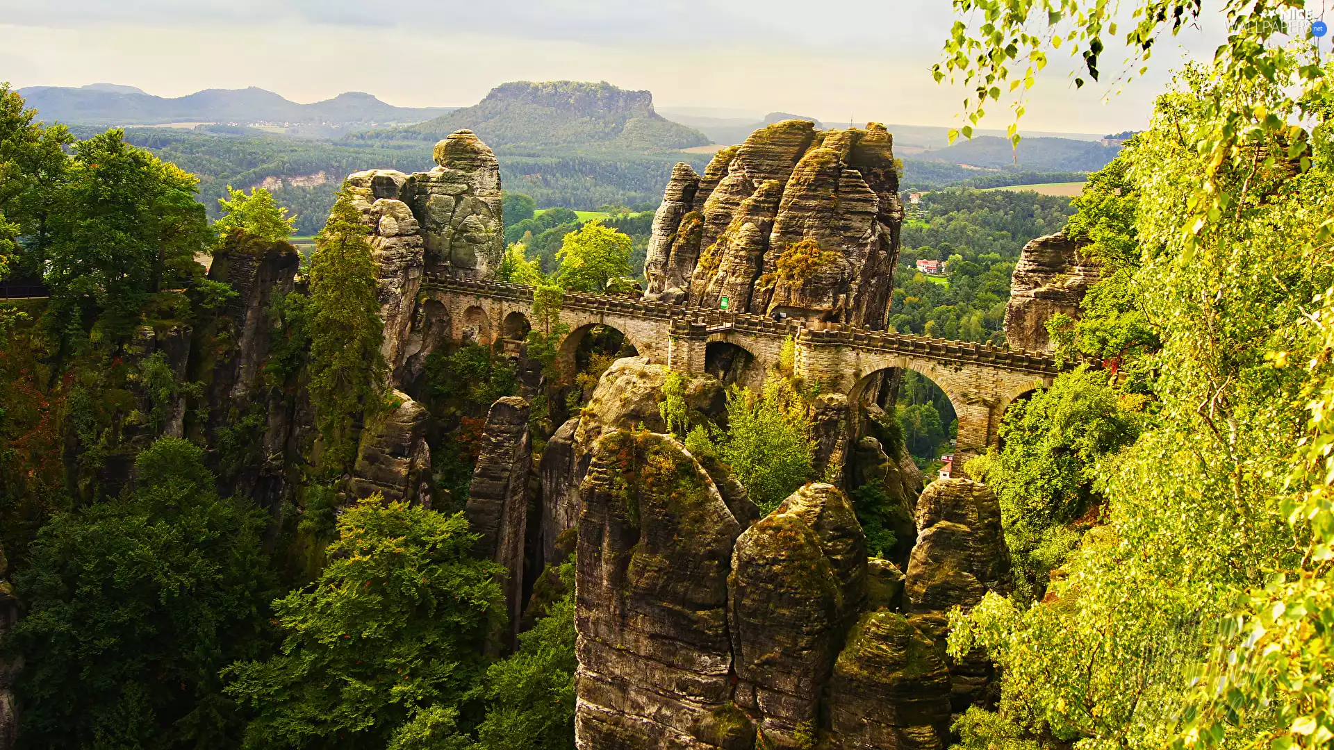 trees, viewes, Germany, bridge, Děčínská vrchovina, Bastei Rock Formation, Saxon Switzerland National Park, rocks