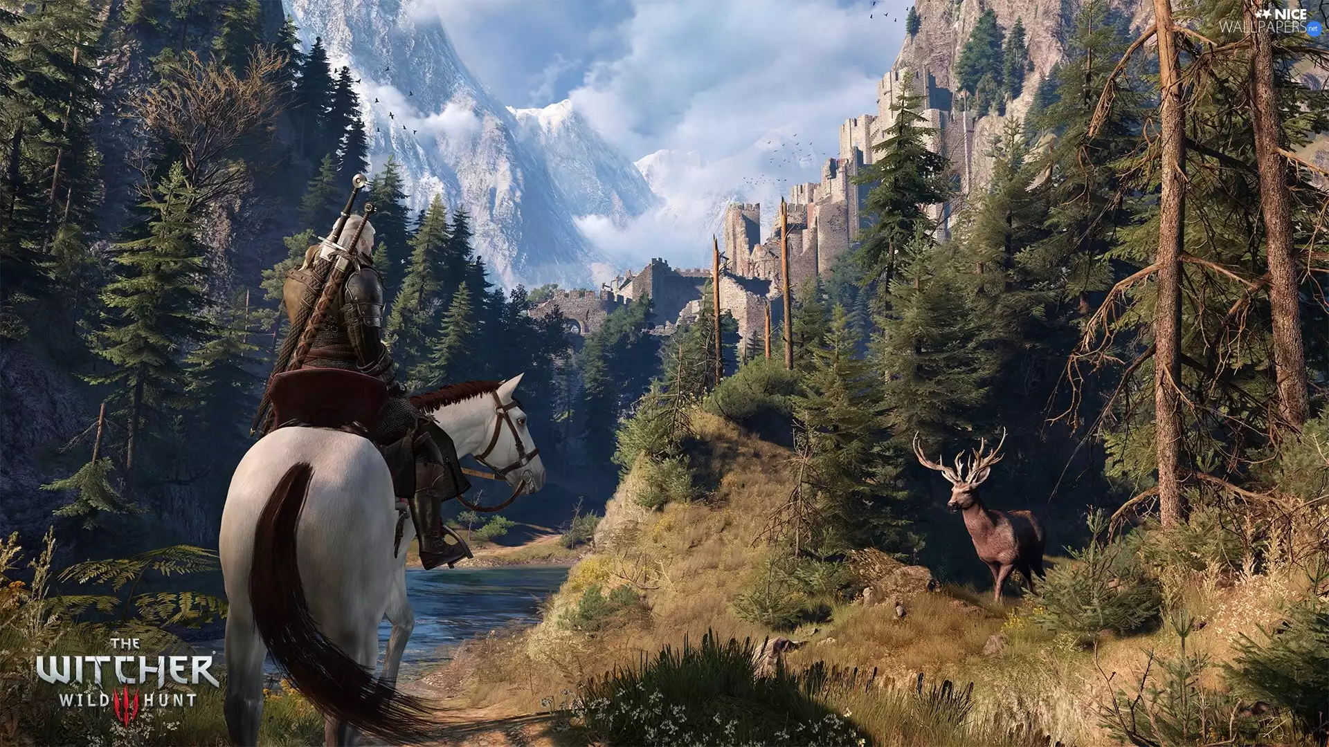 woods, The Witcher 3: Wild Hunt, fortress, Horse, game, deer, peaks