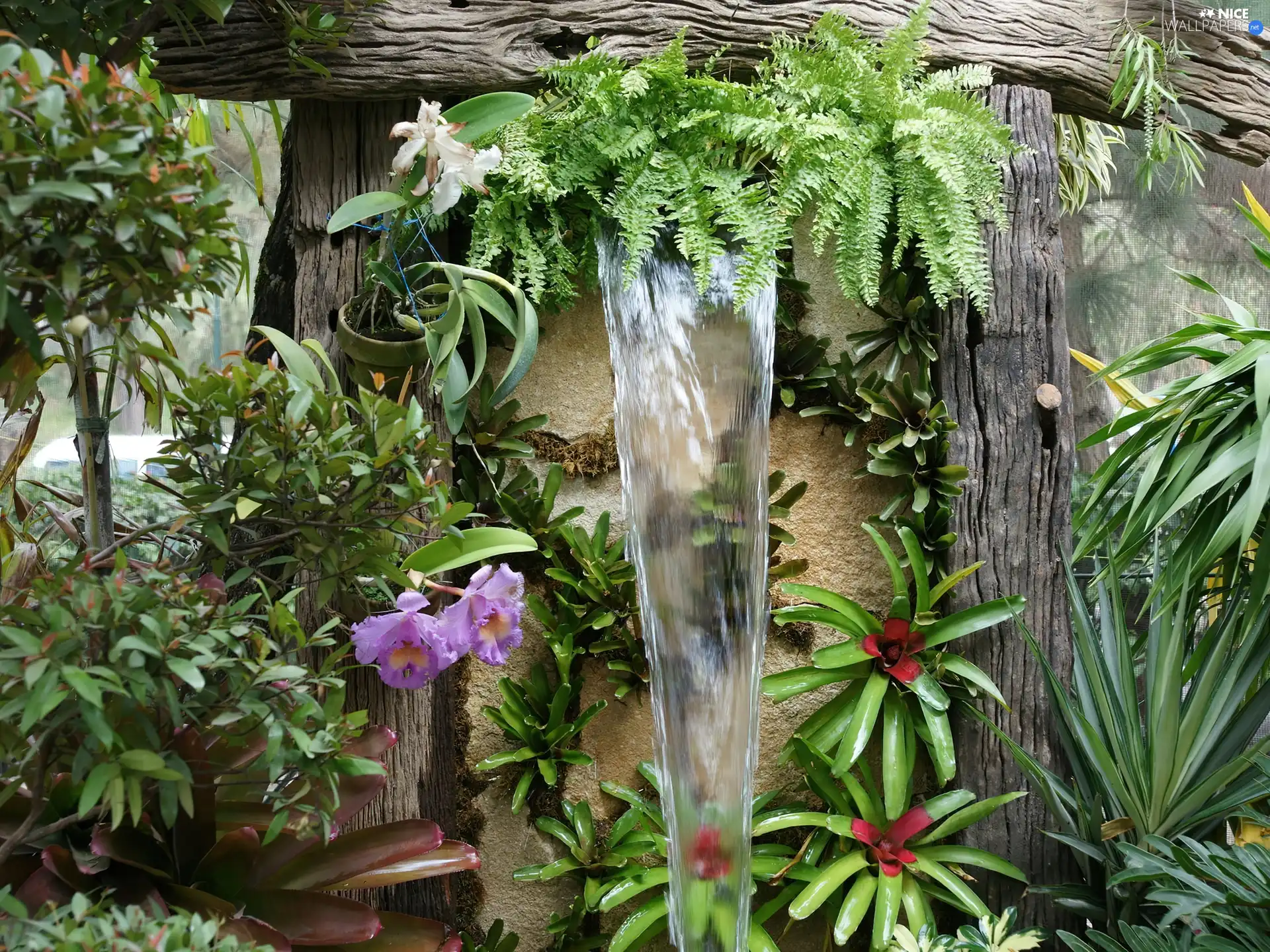 fountain, Garden, floral