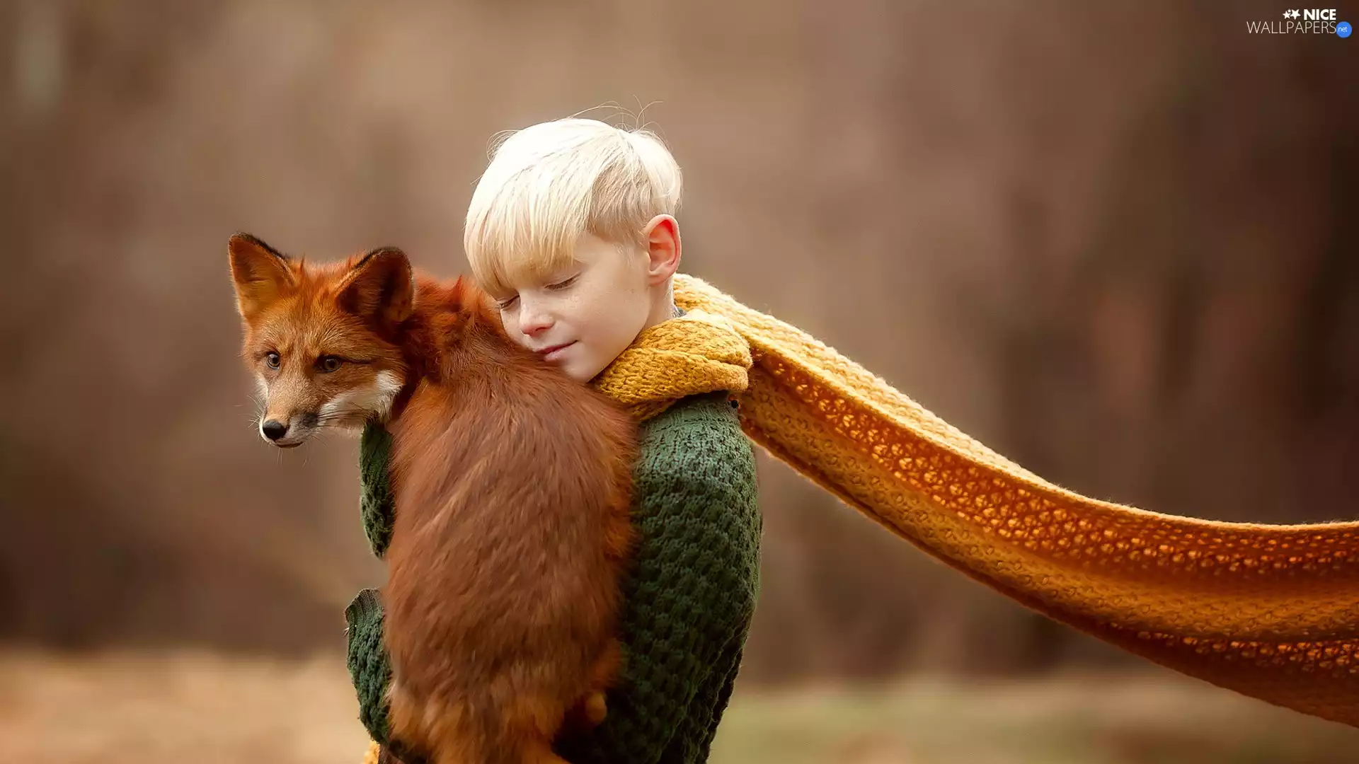 Fox, boy, Scarf