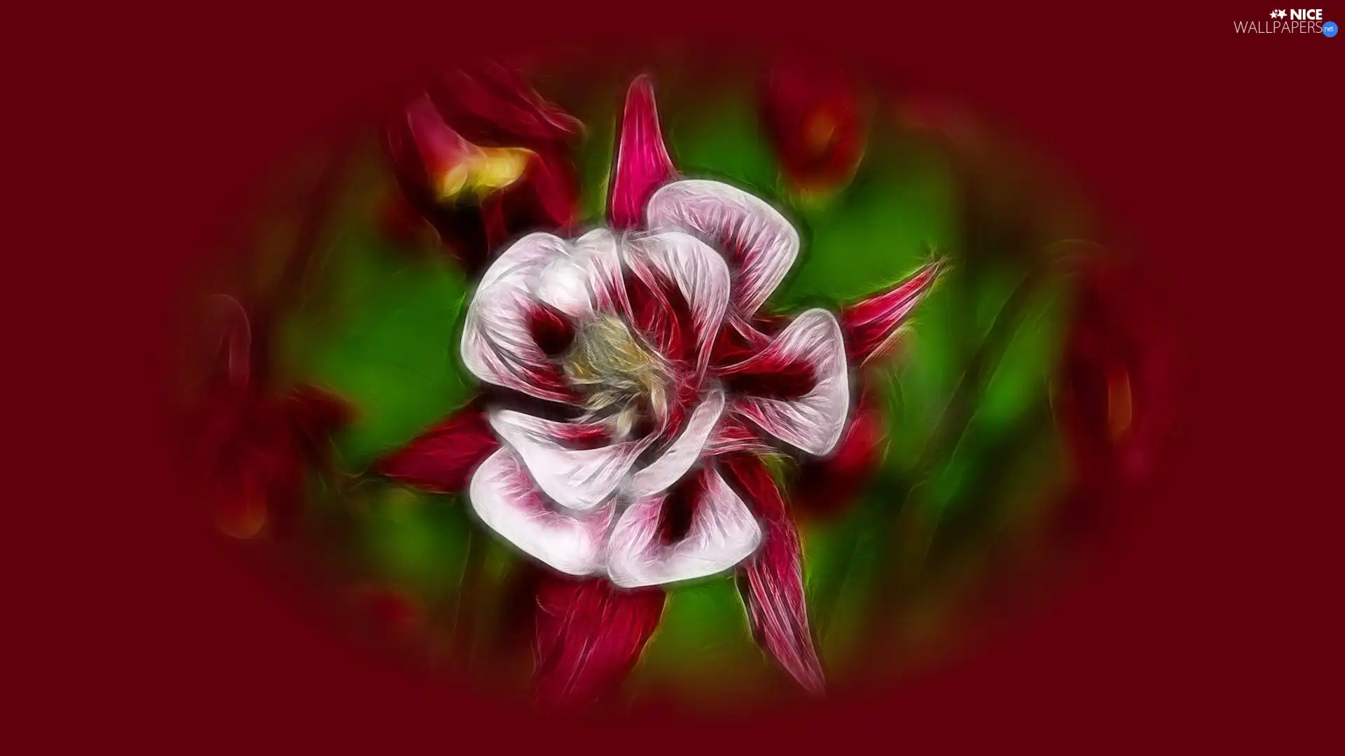 graphics, Colourfull Flowers, Fractalius