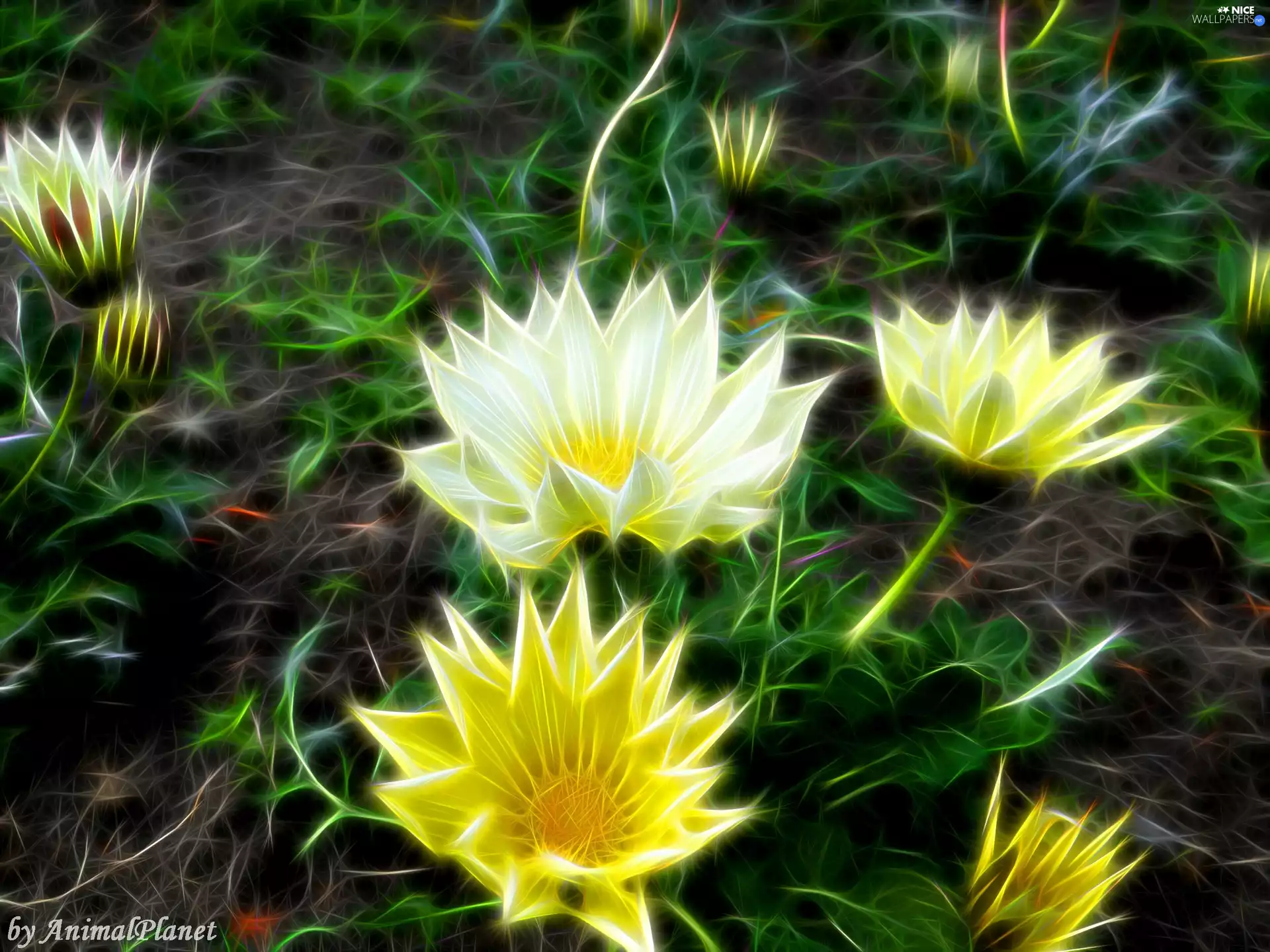 Fractalius, nature, Flowers