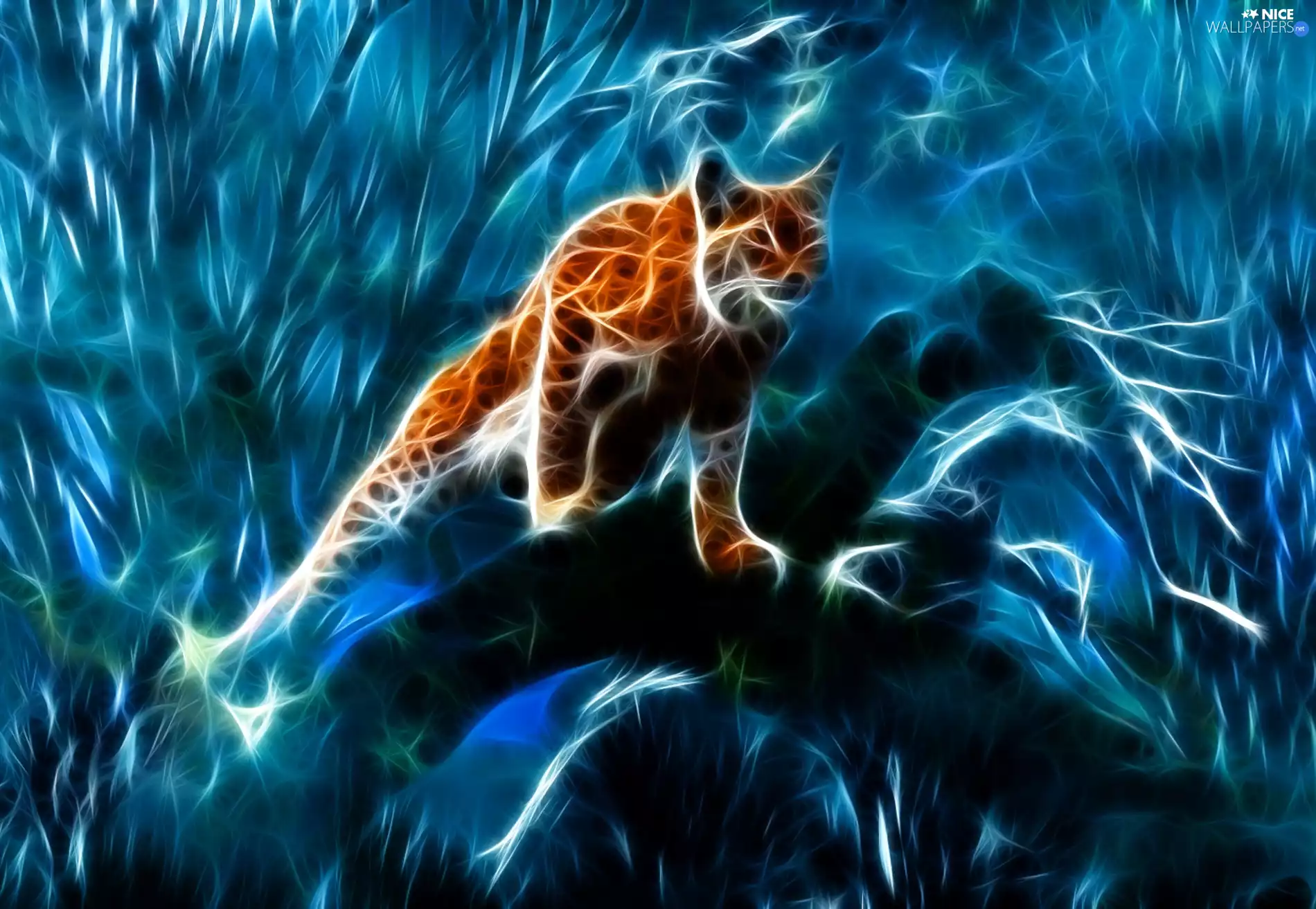 branch, Lynx, viewes, Fractalius, trees, forest