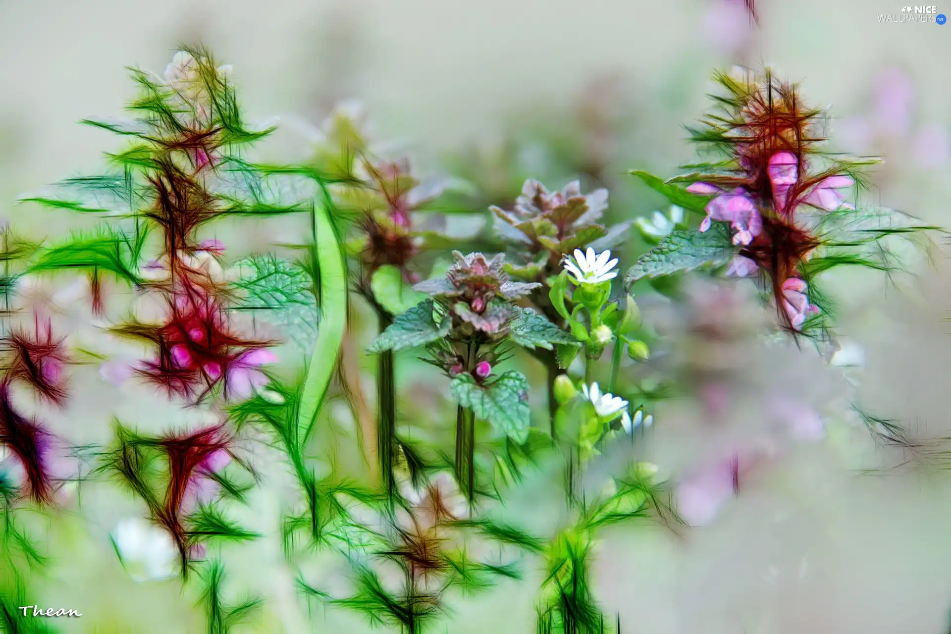 plants, Fractalius