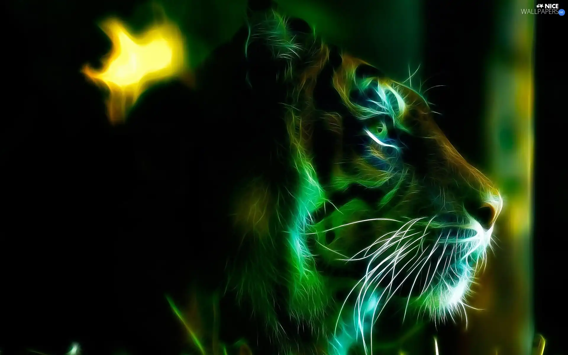 Fractalius, tiger