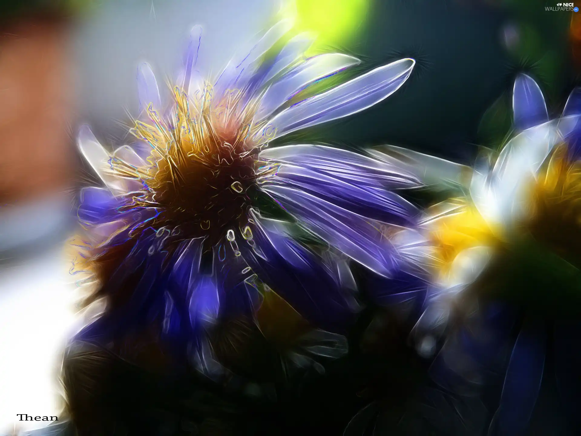 Fractalius, Flowers, Wildflowers