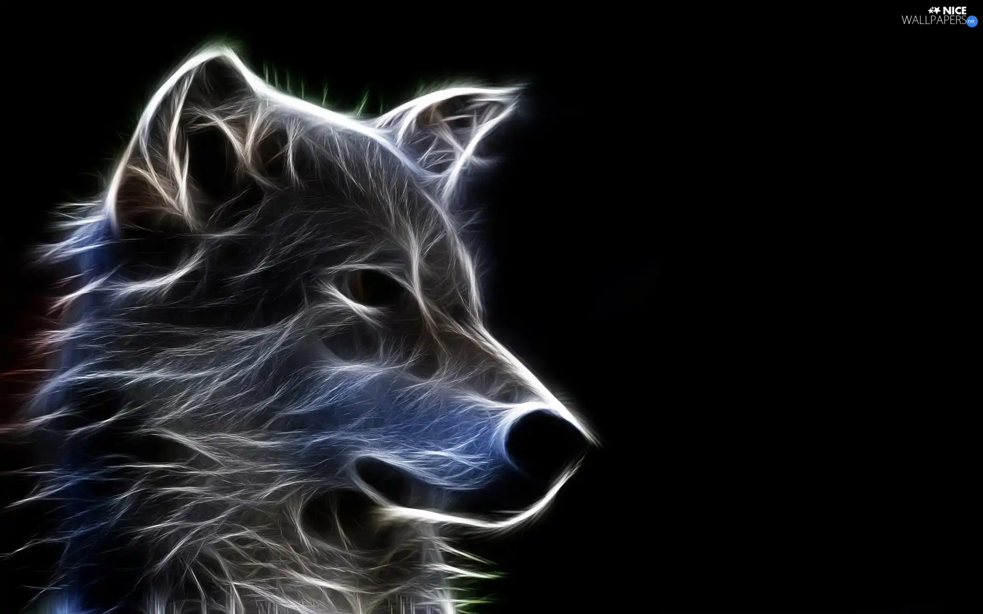 Wolf, Fractalius