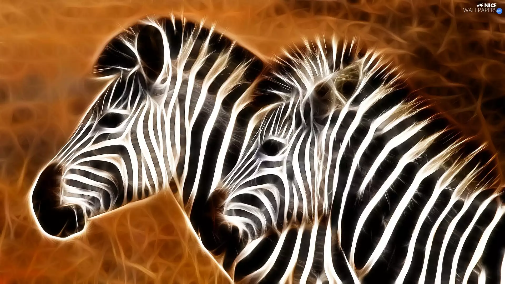Fractalius, Two, zebra