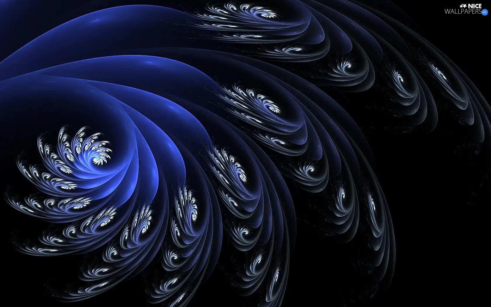 Fraktal, plume, Tides