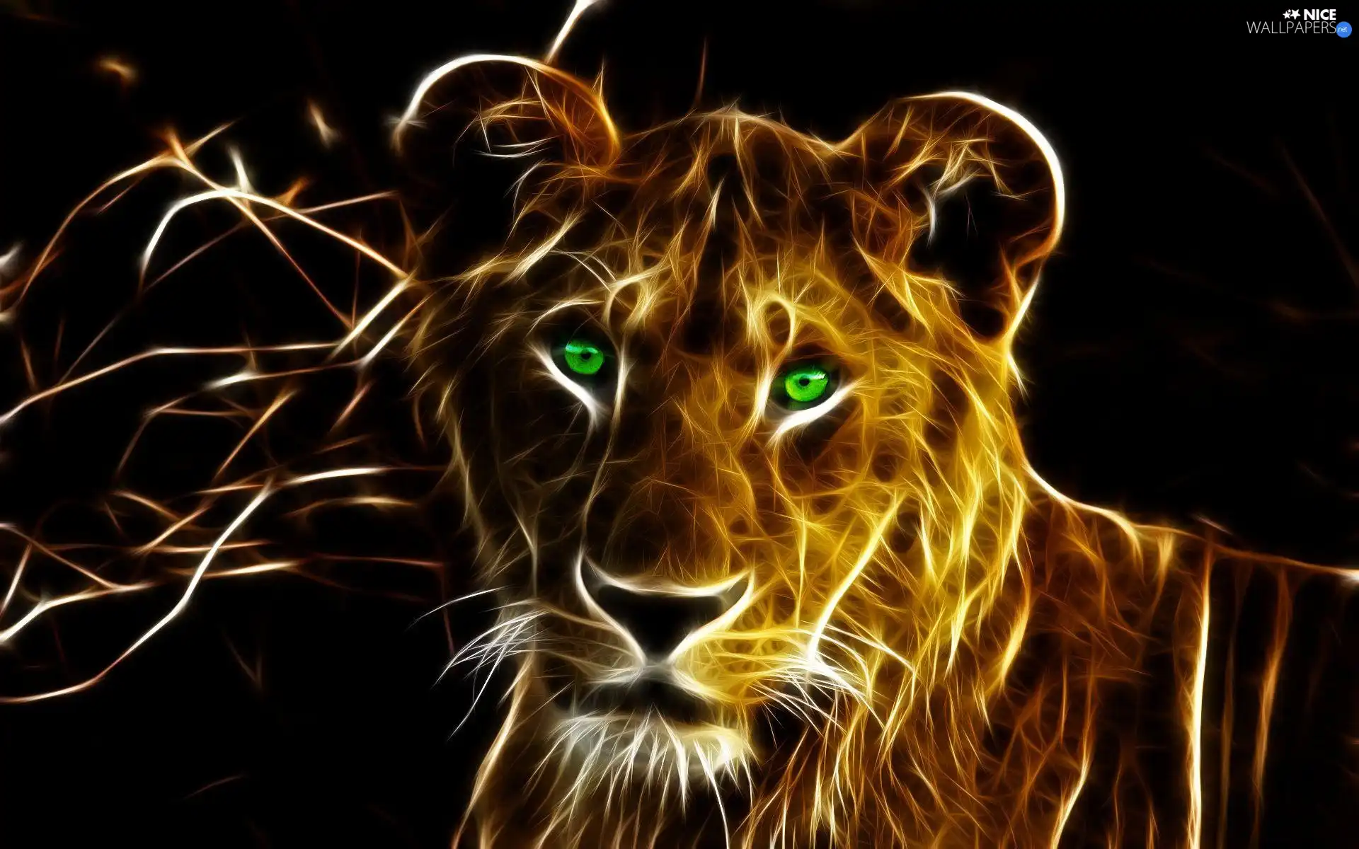Lioness, Fraktalius