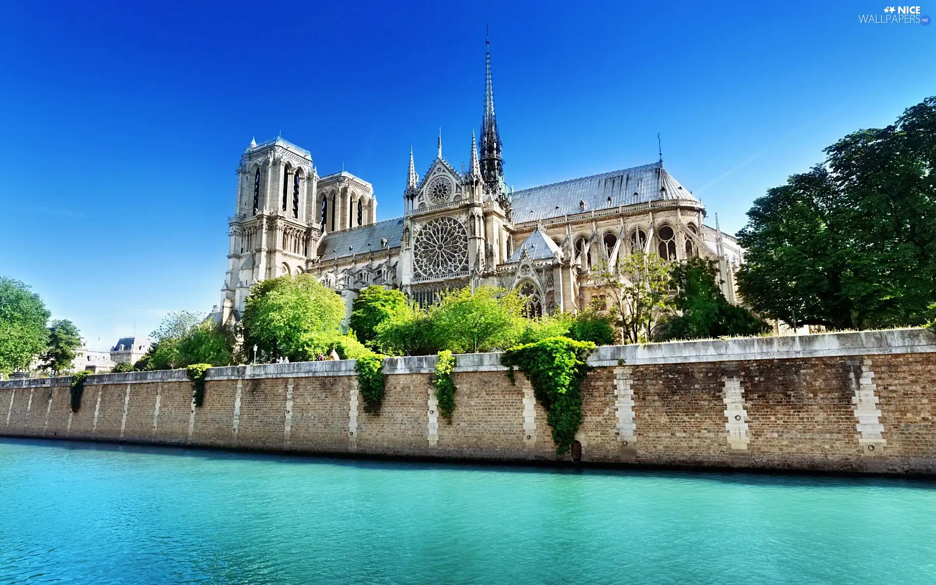 chair, Paris, France, Notre Dame