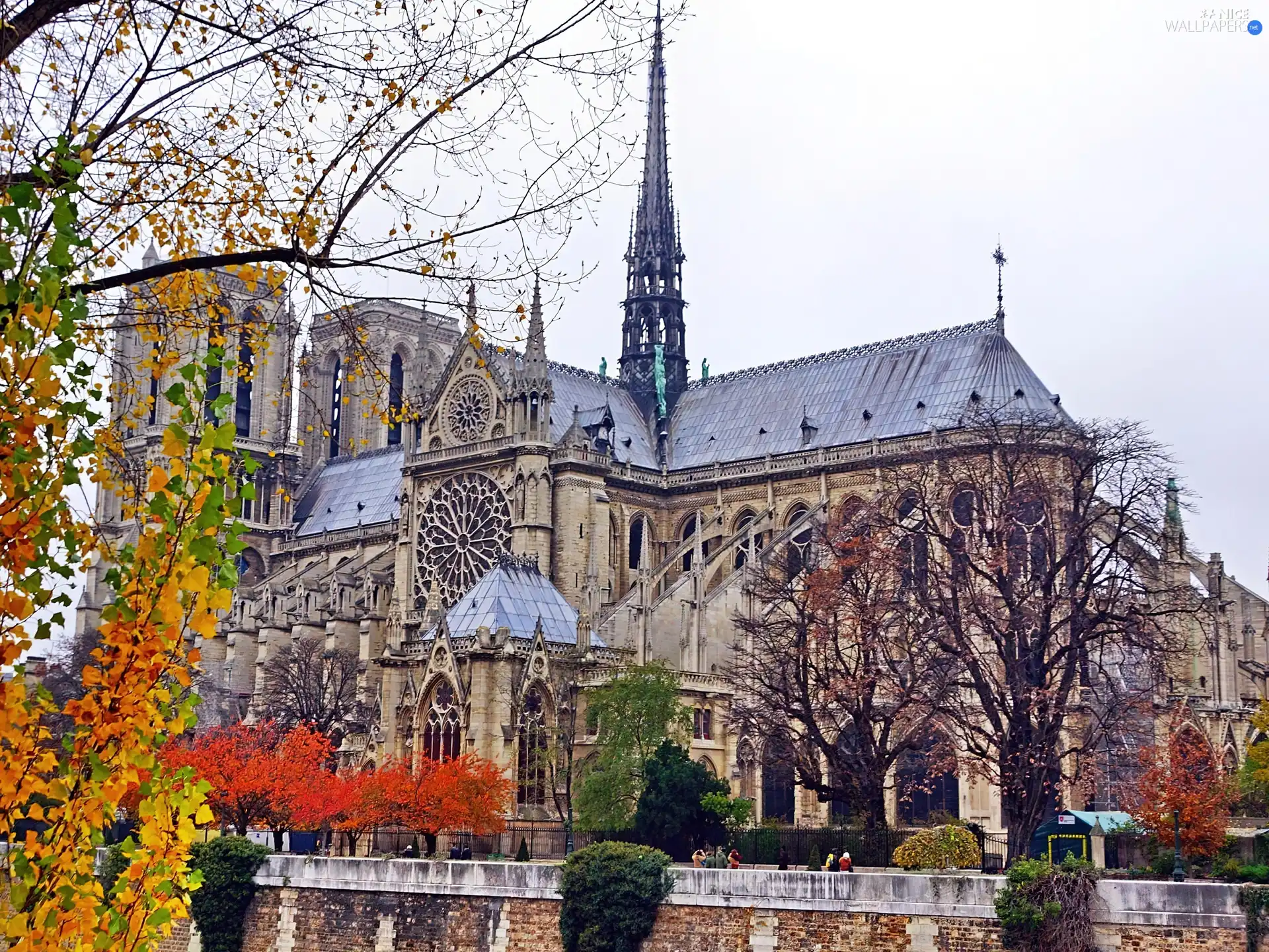 chair, Paris, France, Notre Dame